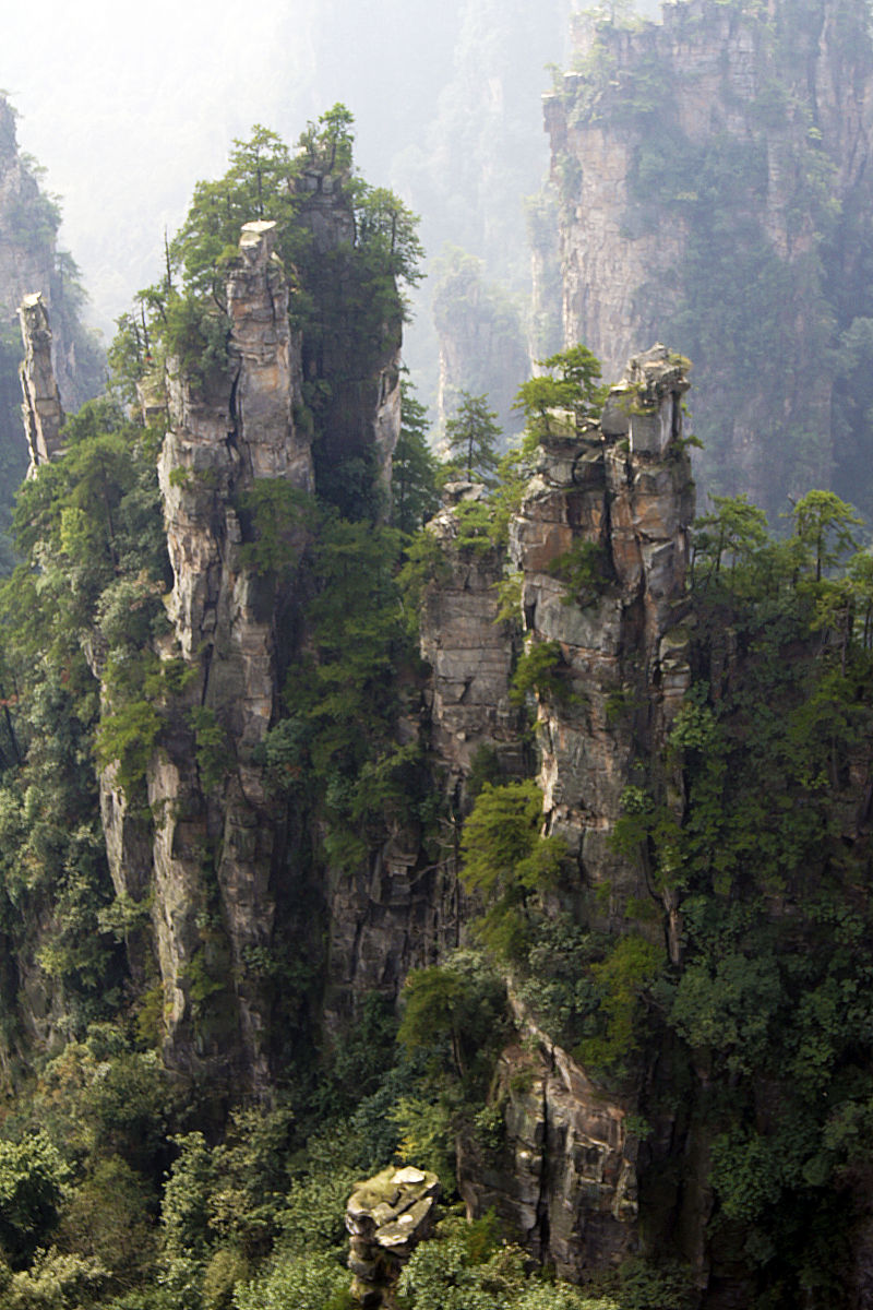 我们公司要组织大家去张家界3日游10人整个预算5万元从武汉出发帮我制定一份详细的计划