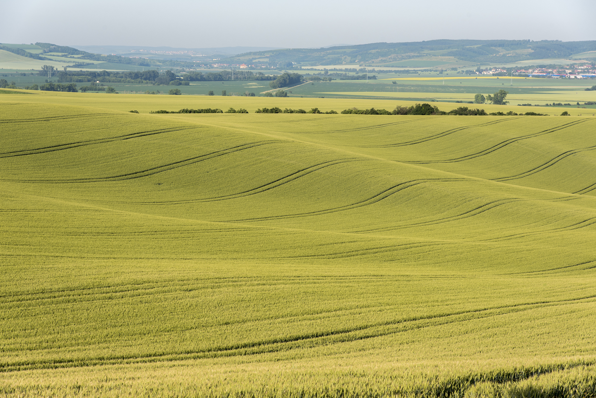 fields