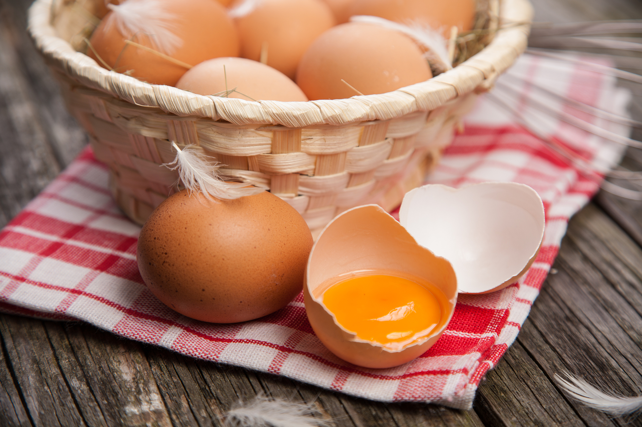 fresh organic eggs