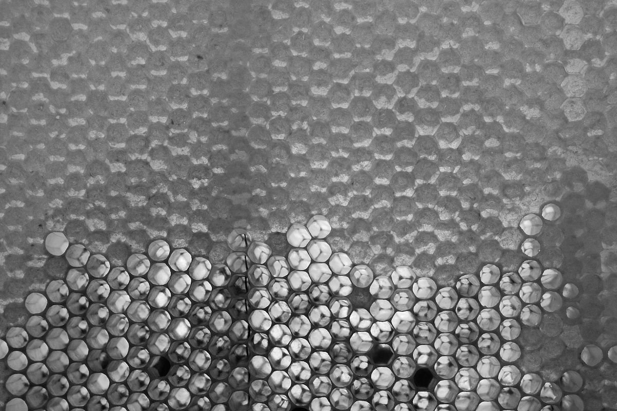 铜纳米材料在细菌漆酶传感器上的应用：实训记录及分析