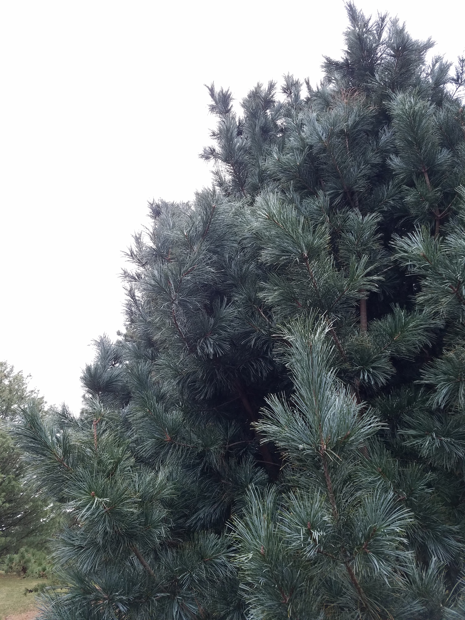 黑龙江大学的植物保护专业就业前景怎么样