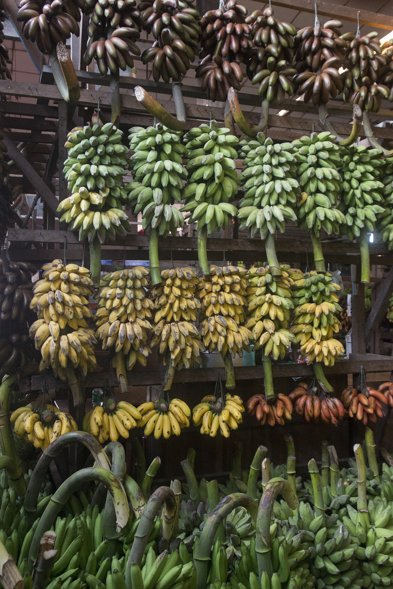 往缅甸仰光去可不可以带少量的水果帮我用200字详细描述