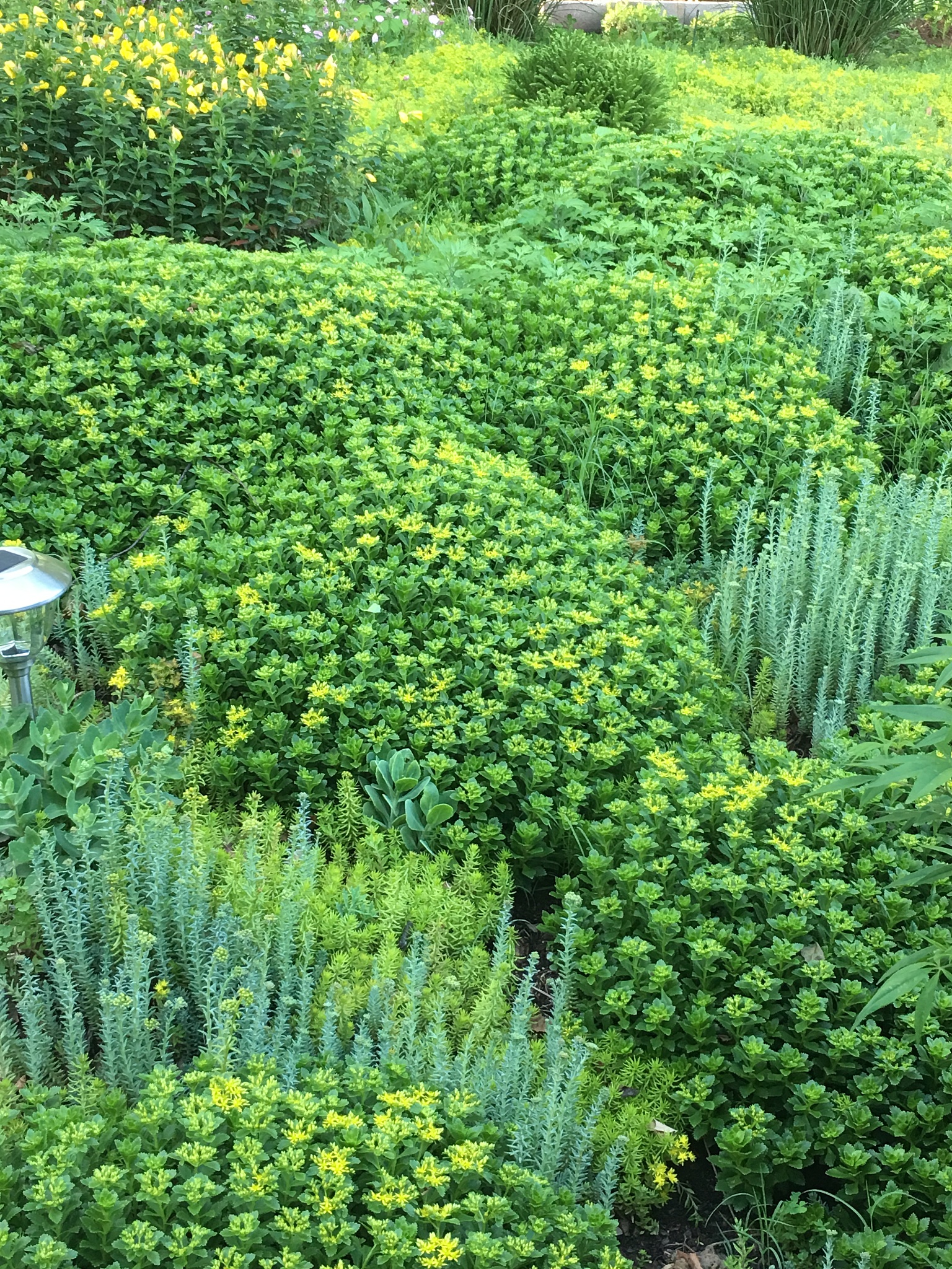 威海职业学院风景园林设计专业课程设置详解