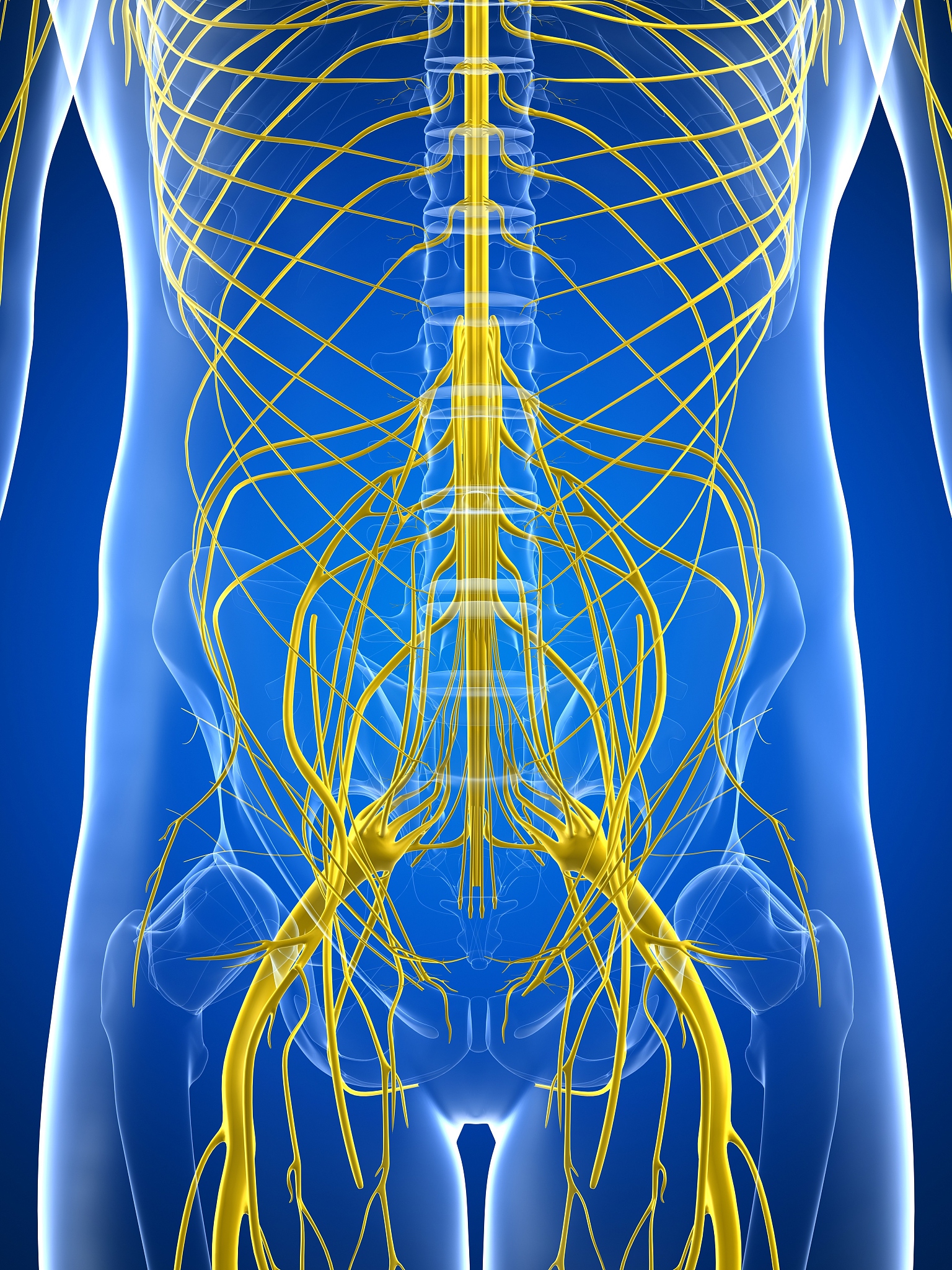 中枢性面瘫和周围性面瘫：临床表现对比及解剖学分析