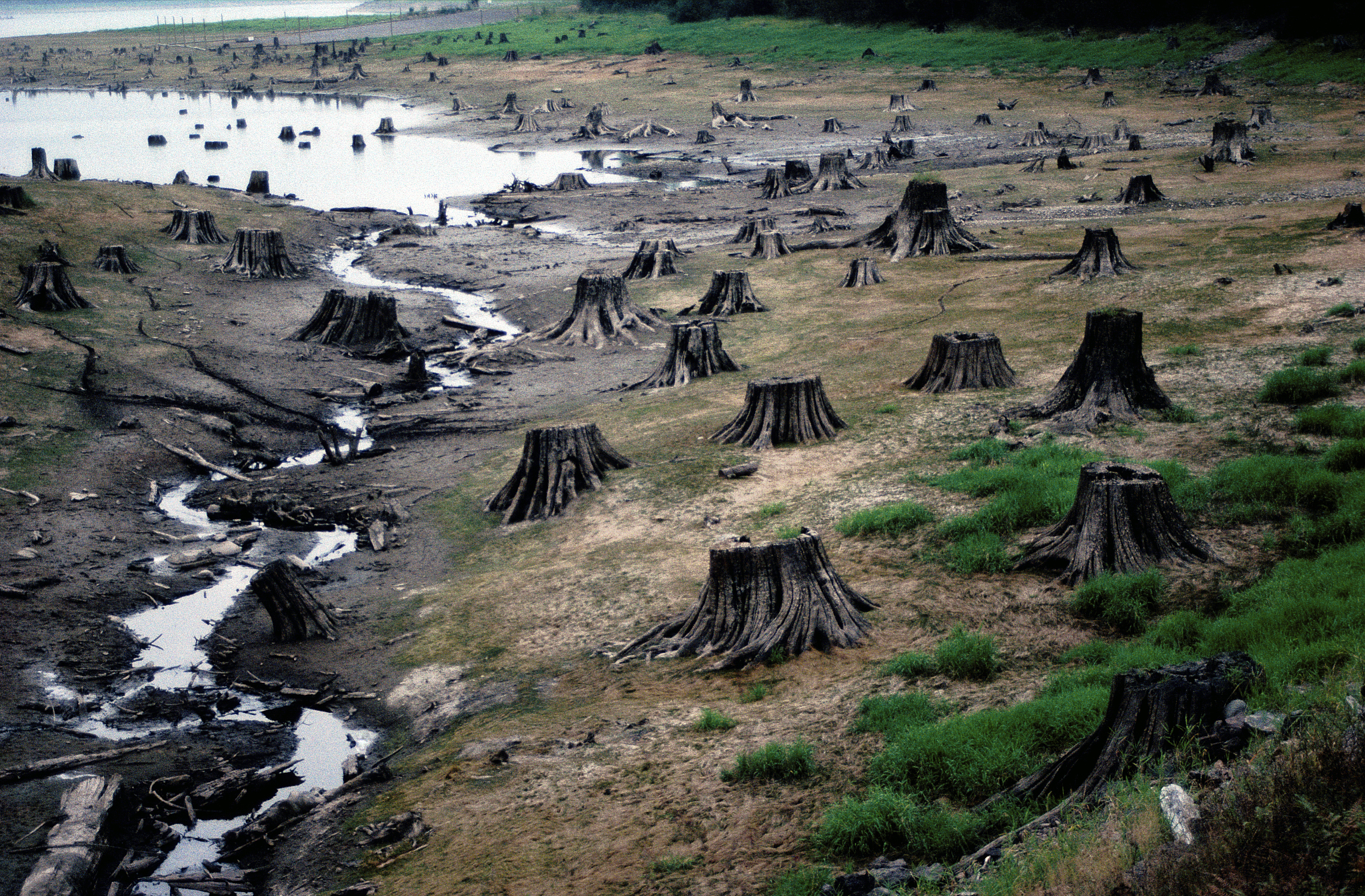 Deforestation in the tropics causes warming which contributes to regional climate change Forest loss occurs over a broad range of spatial scales producing a variety of spatial patterns of cleared and