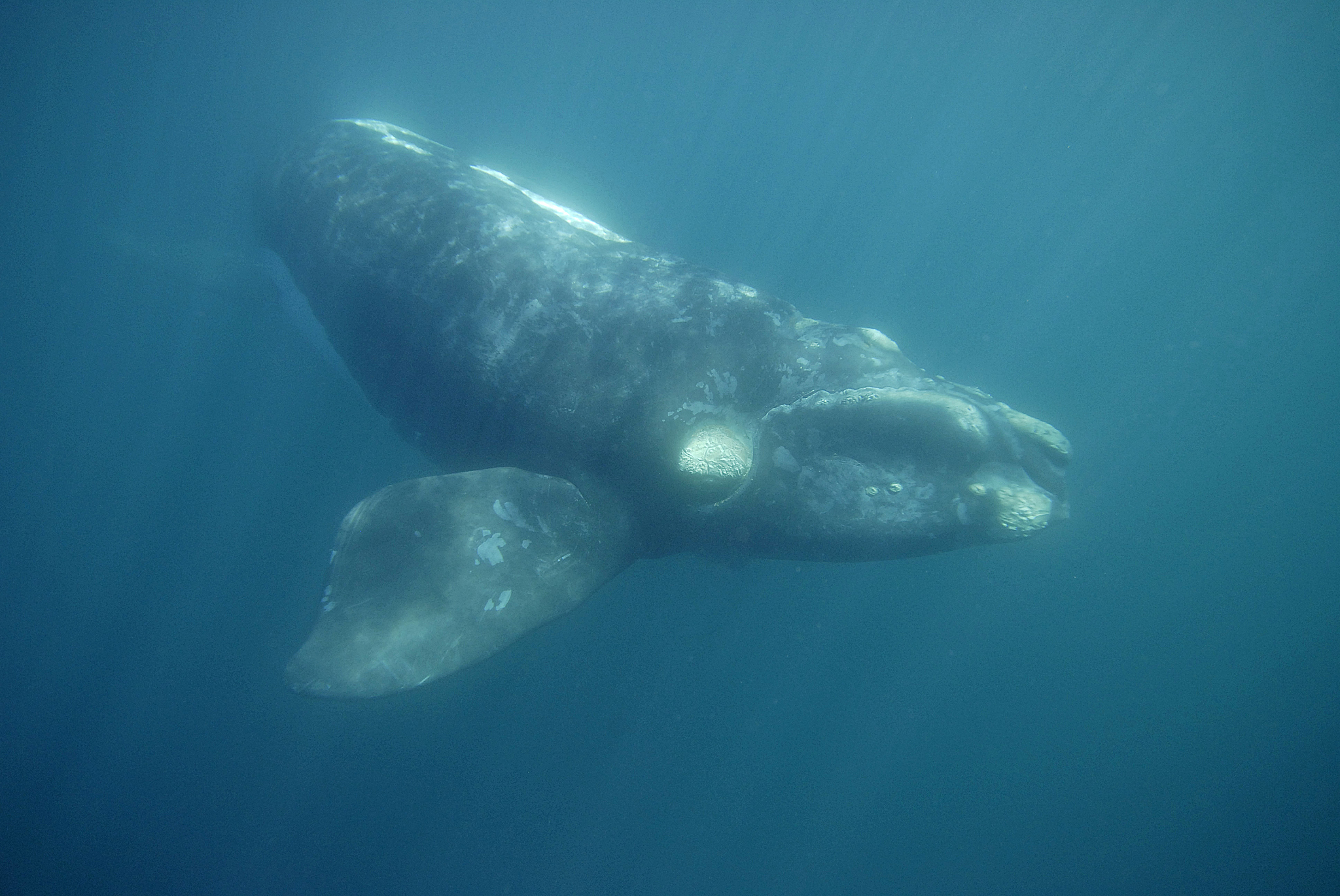 大连海洋学校2021年新变化：图书馆、师资、合作、国际化