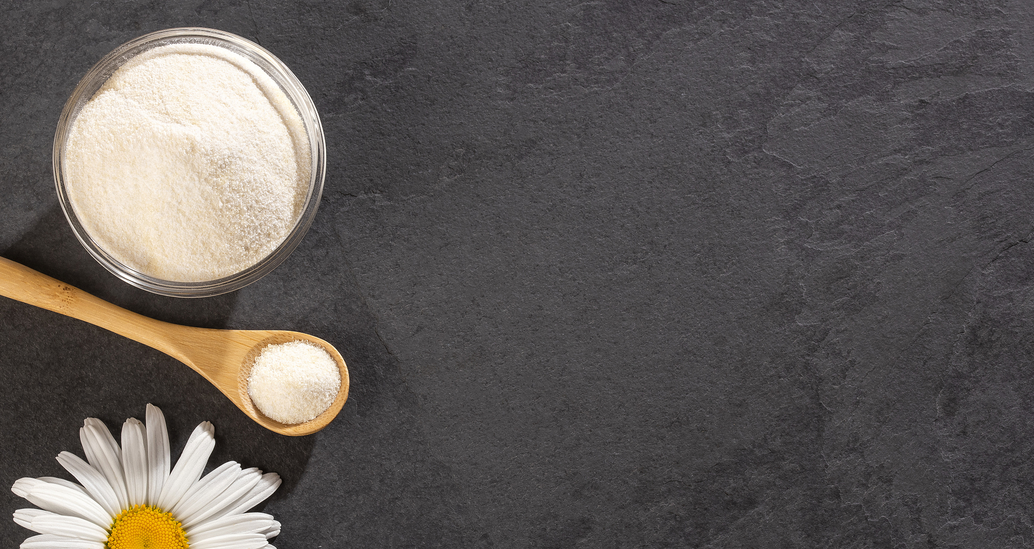 请解释collagen type XI的功能与作用