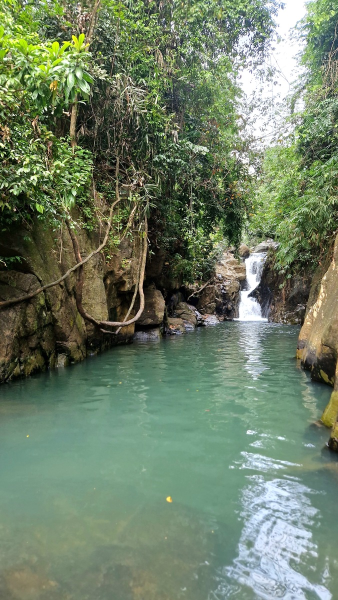 帮我写一段去碧峰峡的3天旅游攻略写的自然一点