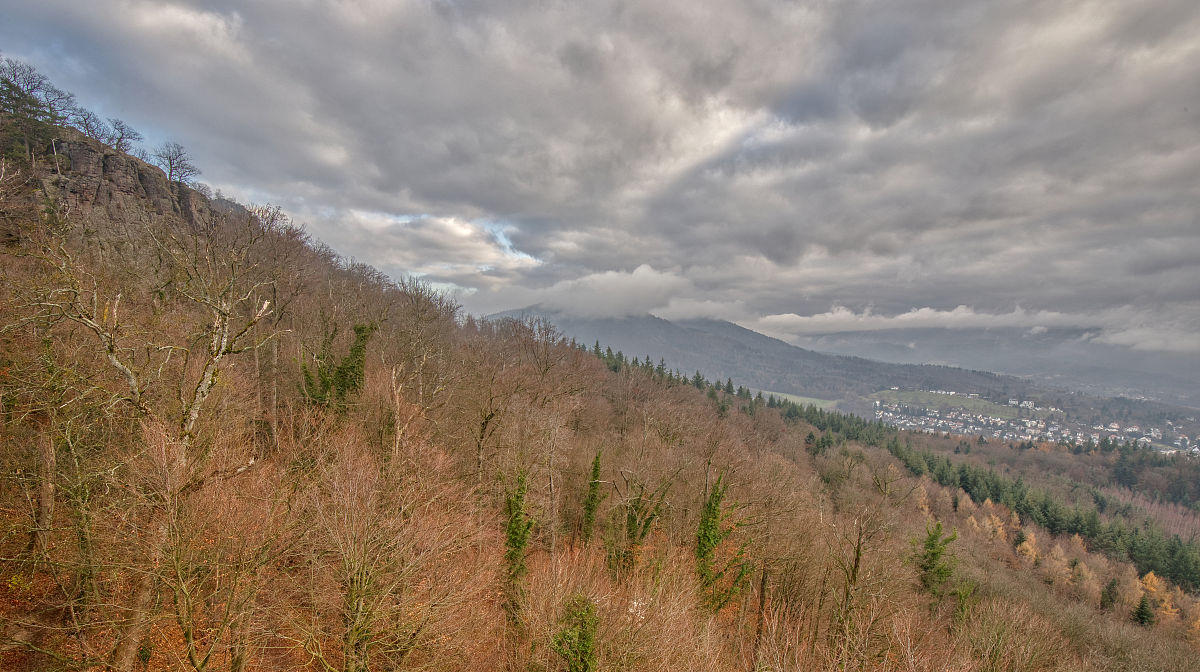 全款裸提是什么意思？购买流程、优缺点解析