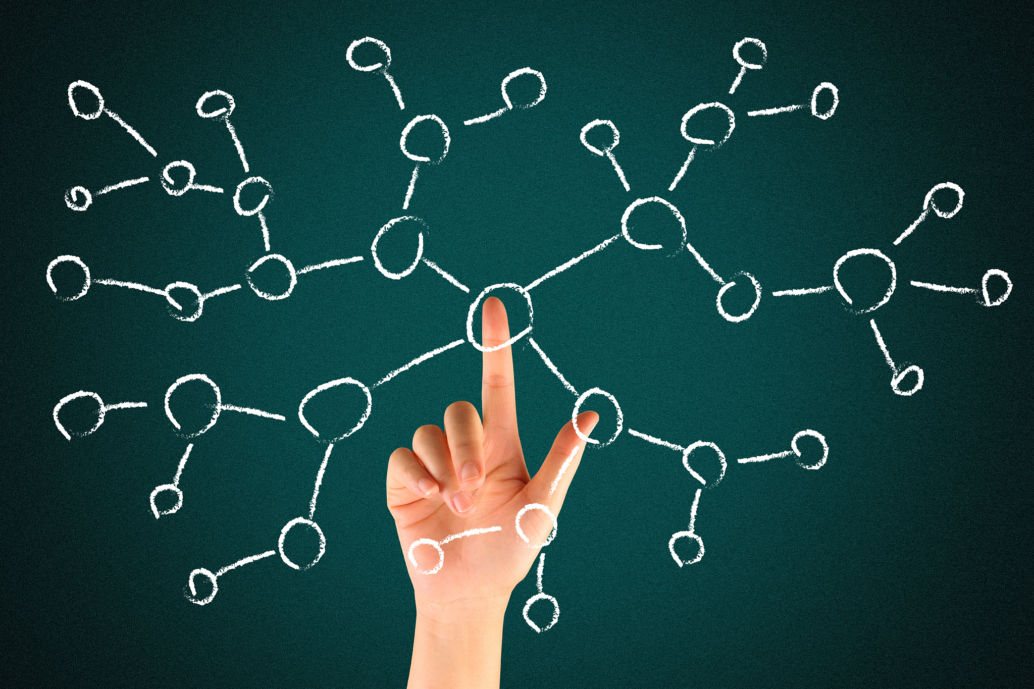 social network structure