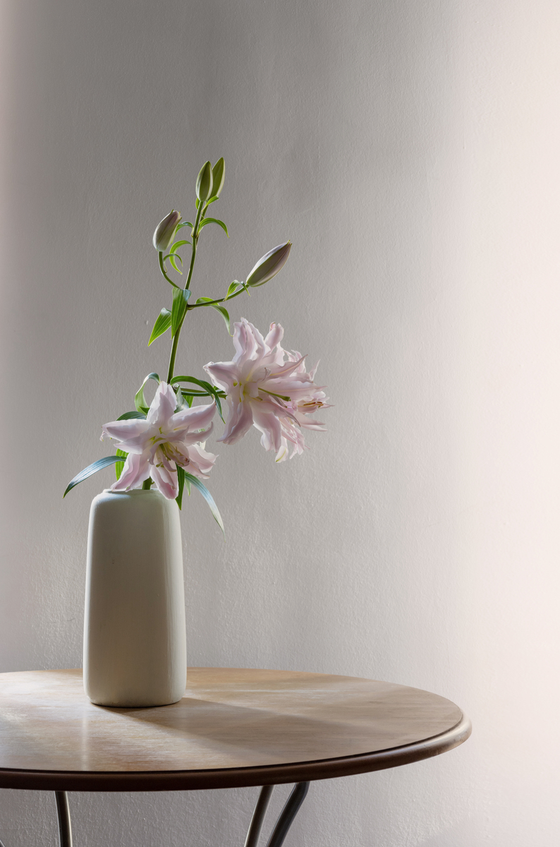 关于花器的形状构思500字