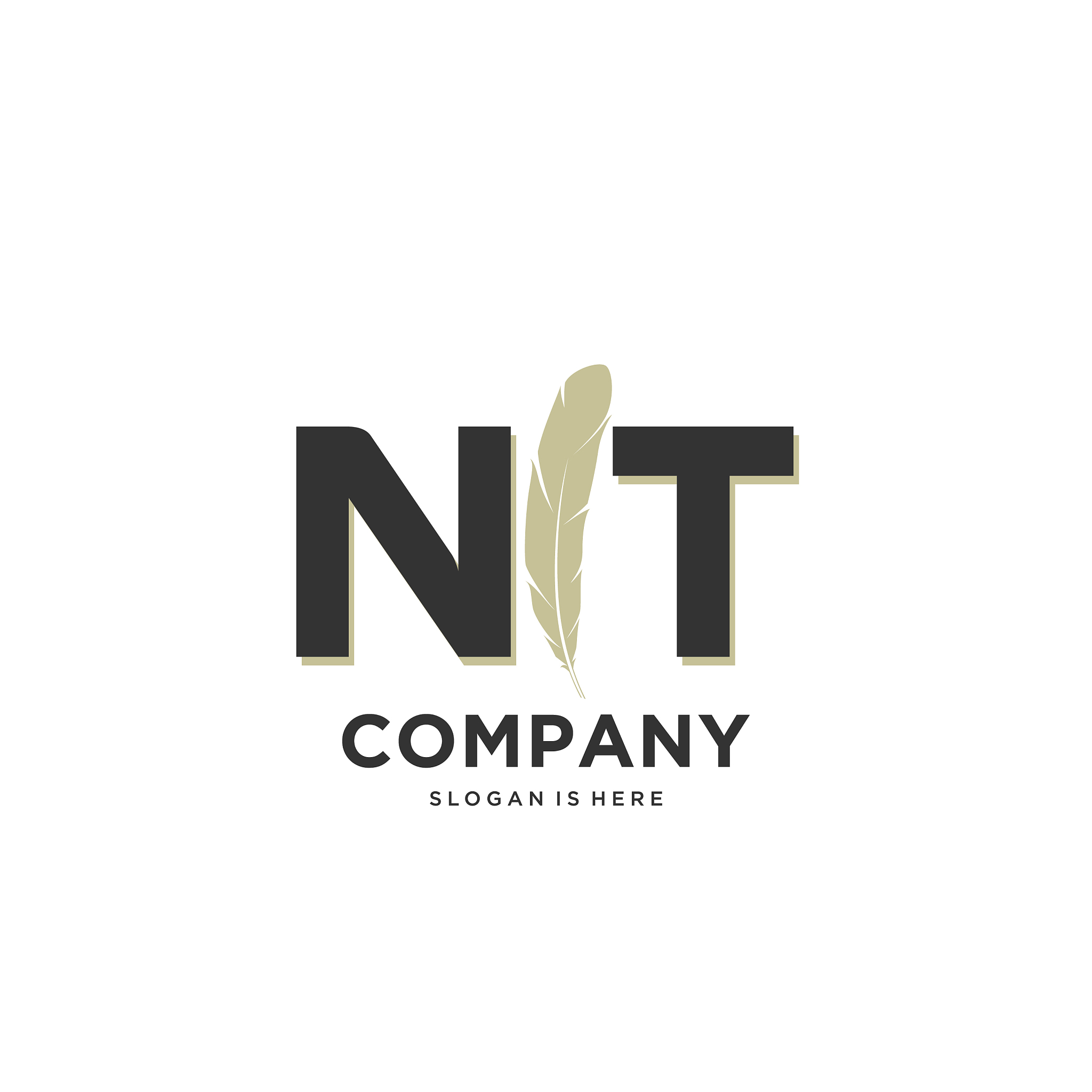 initial nt letter unique attractive creative