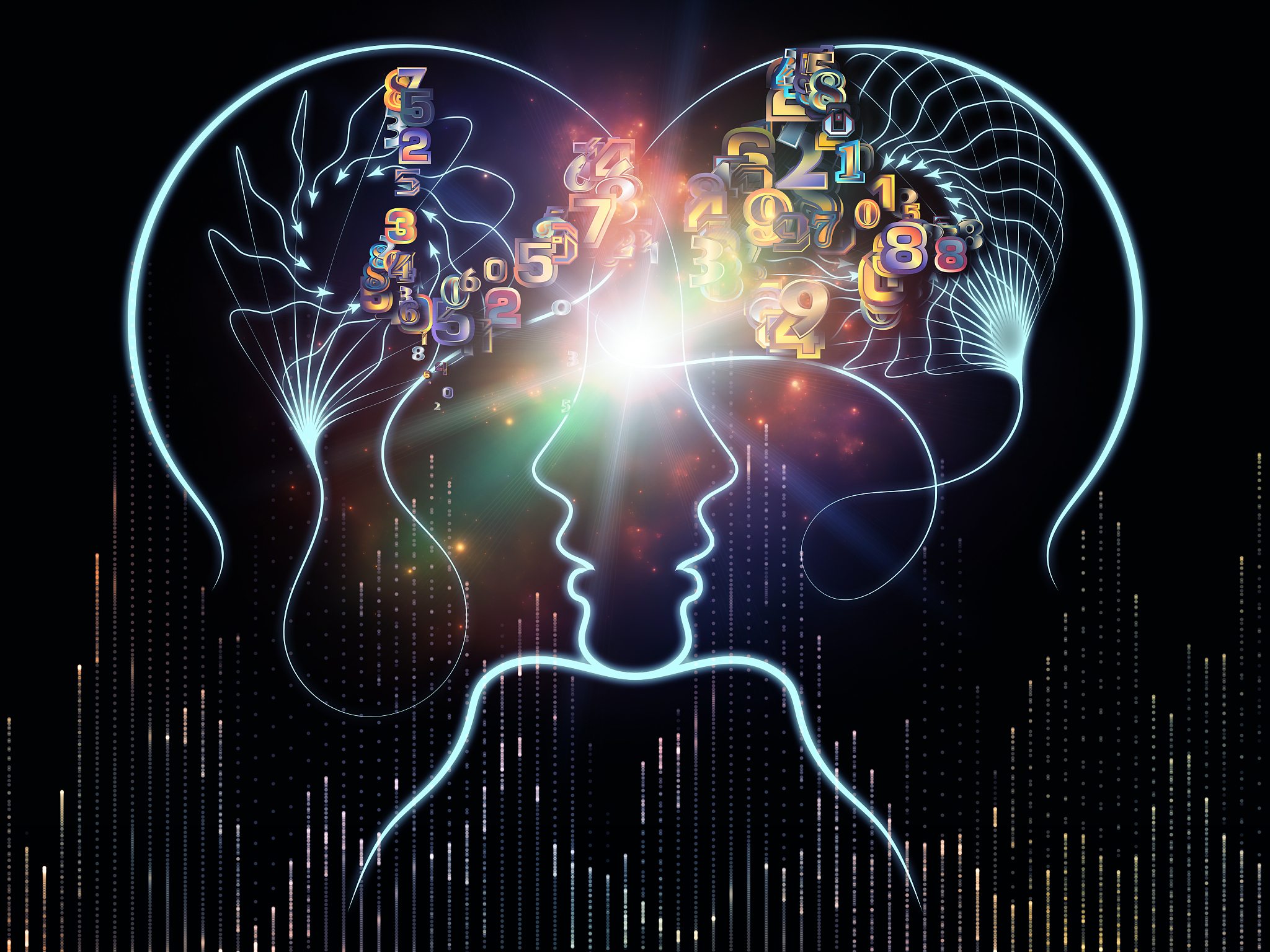 人类：智慧与自我意识的生物