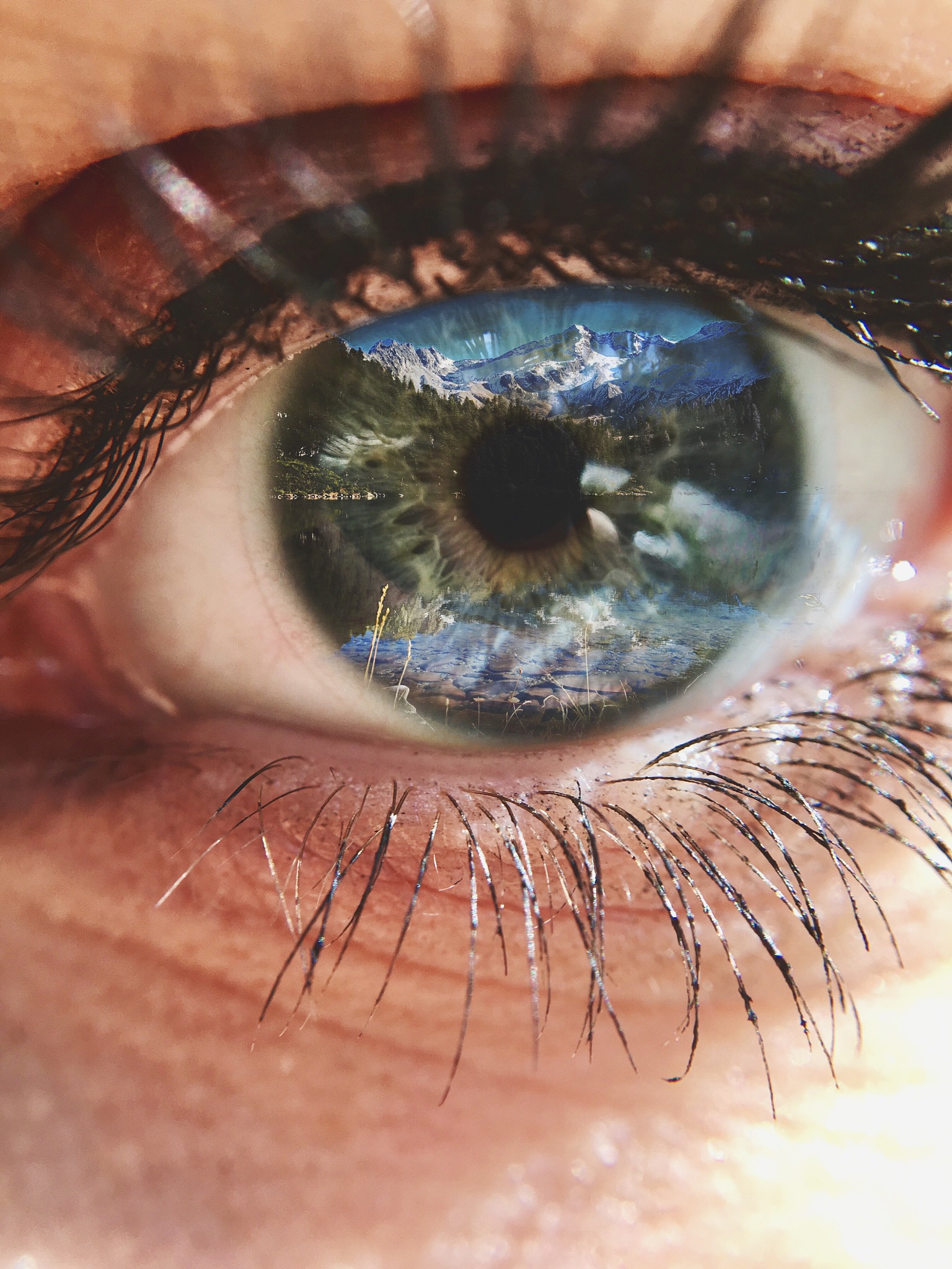 close-up of human eye