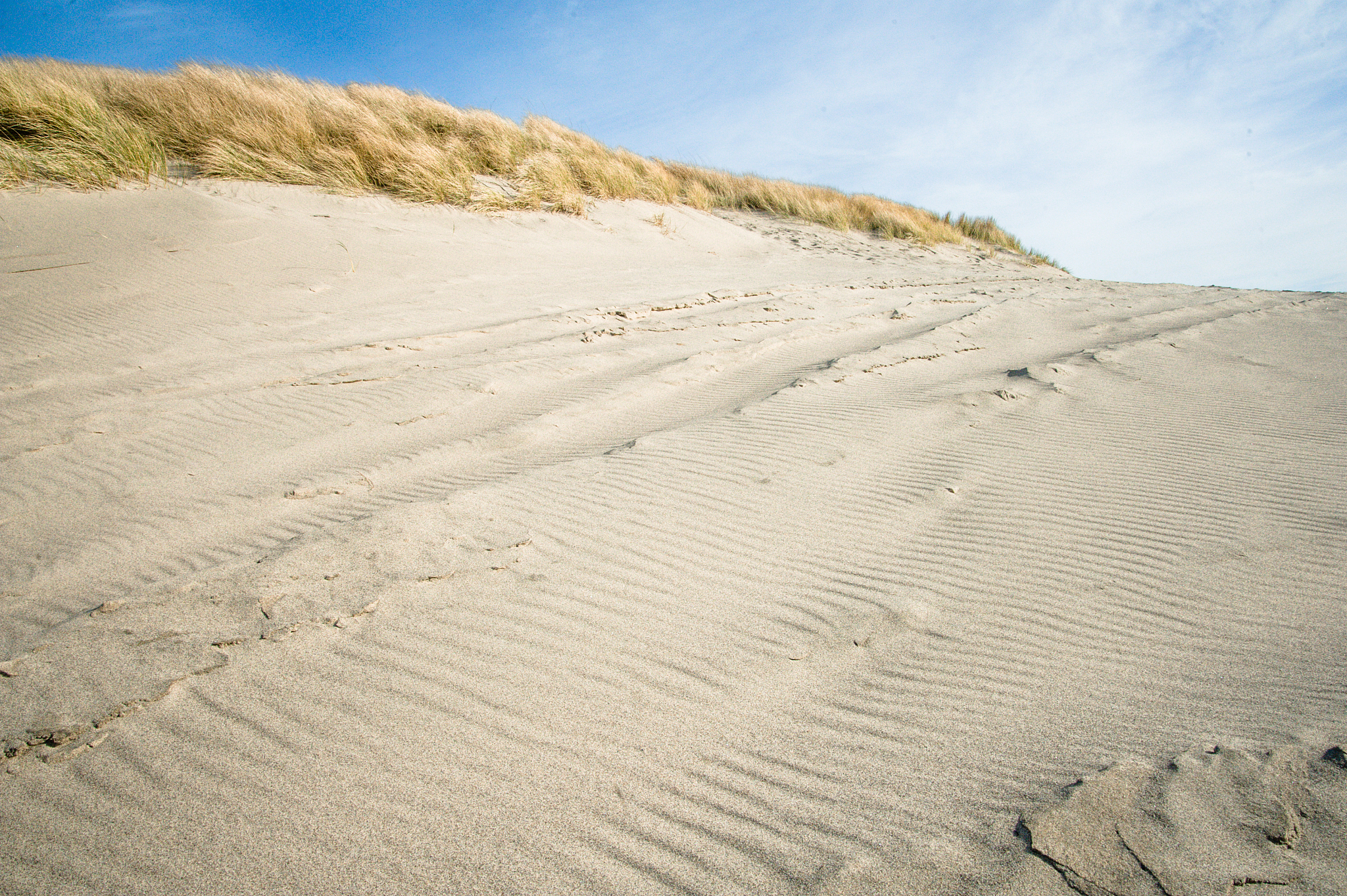 sand dunes