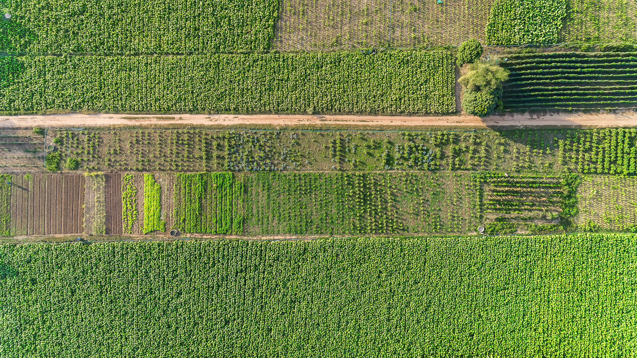 毕节农业学校一般有哪些专业烟草技术及管理专业好学吗
