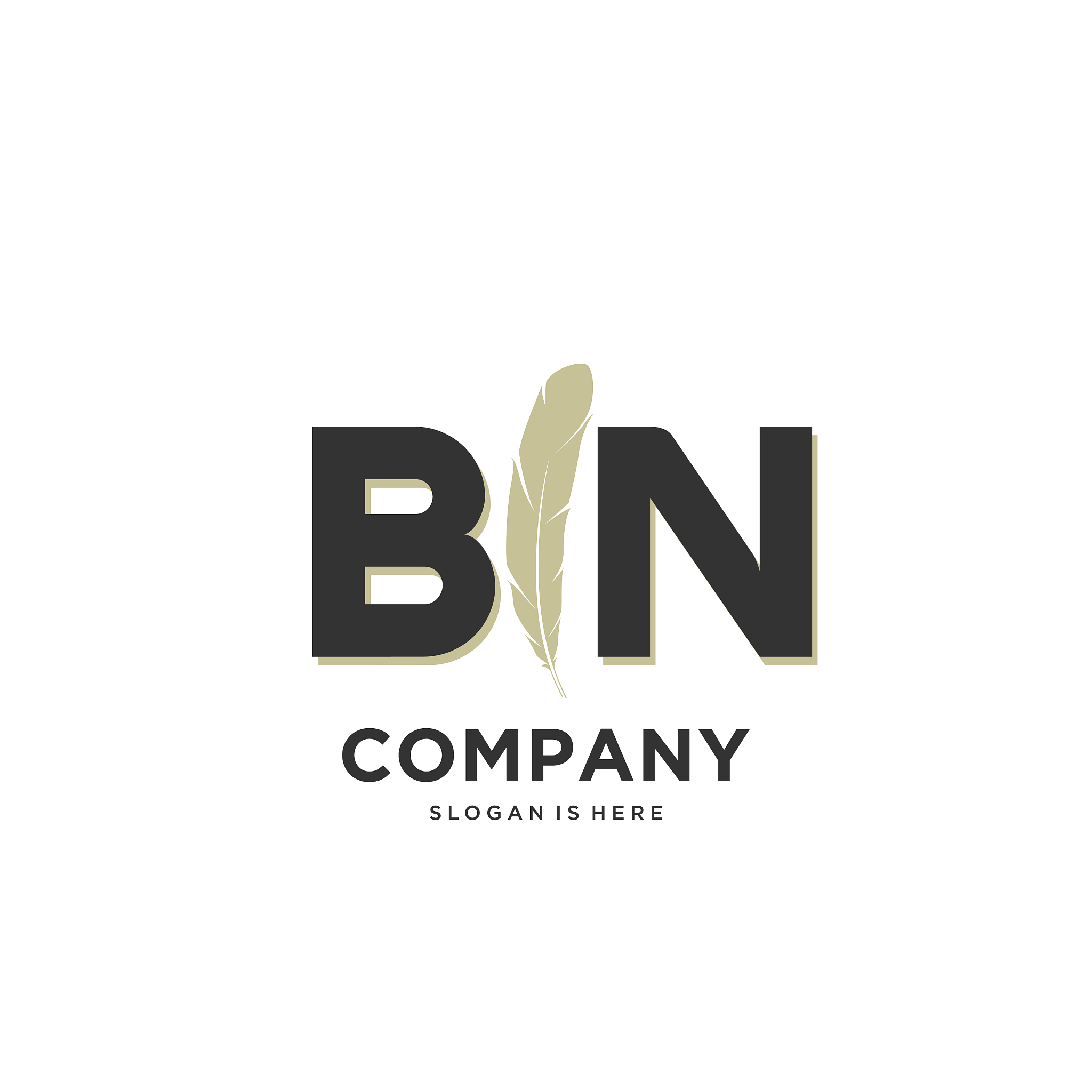 initial bn letter unique attractive creative
