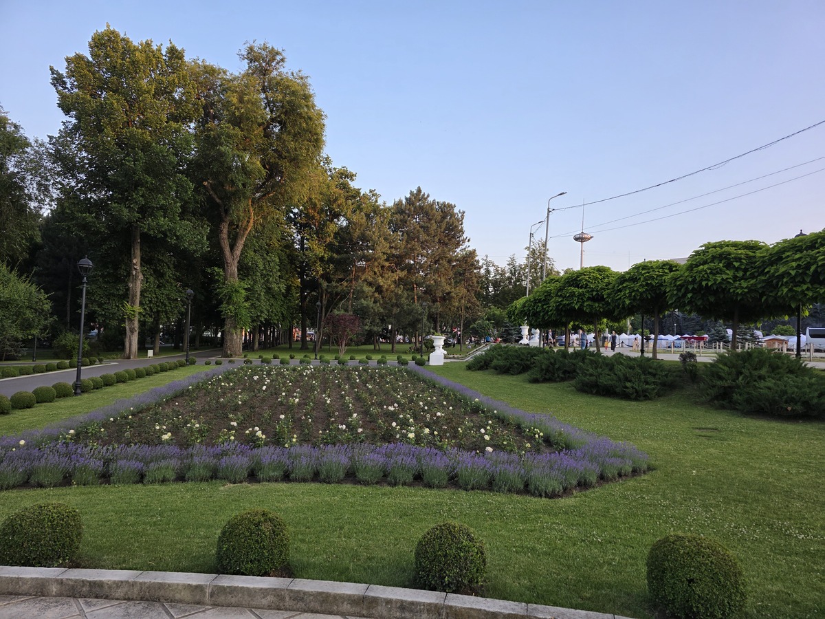 论述乡土植物在西安兴庆公园中可持续发展原则的应用原则。