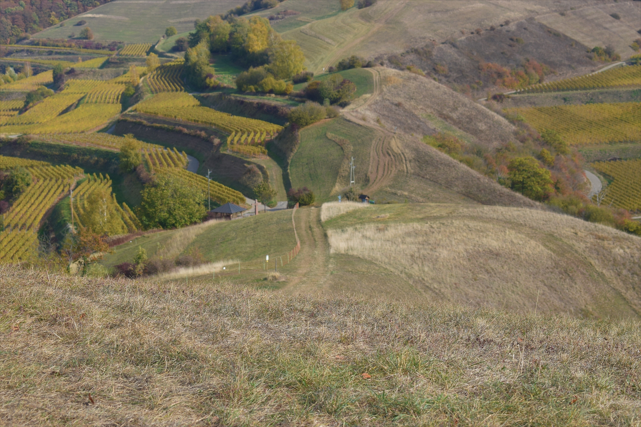 high angle view of agricultural field