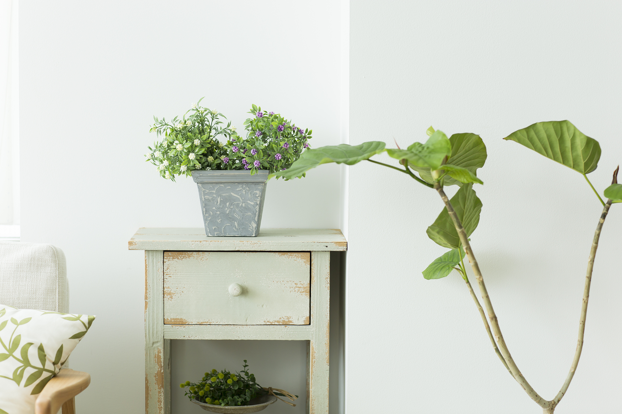 2张时尚简约绿植图案帆布海报，装饰卧室客厅墙壁