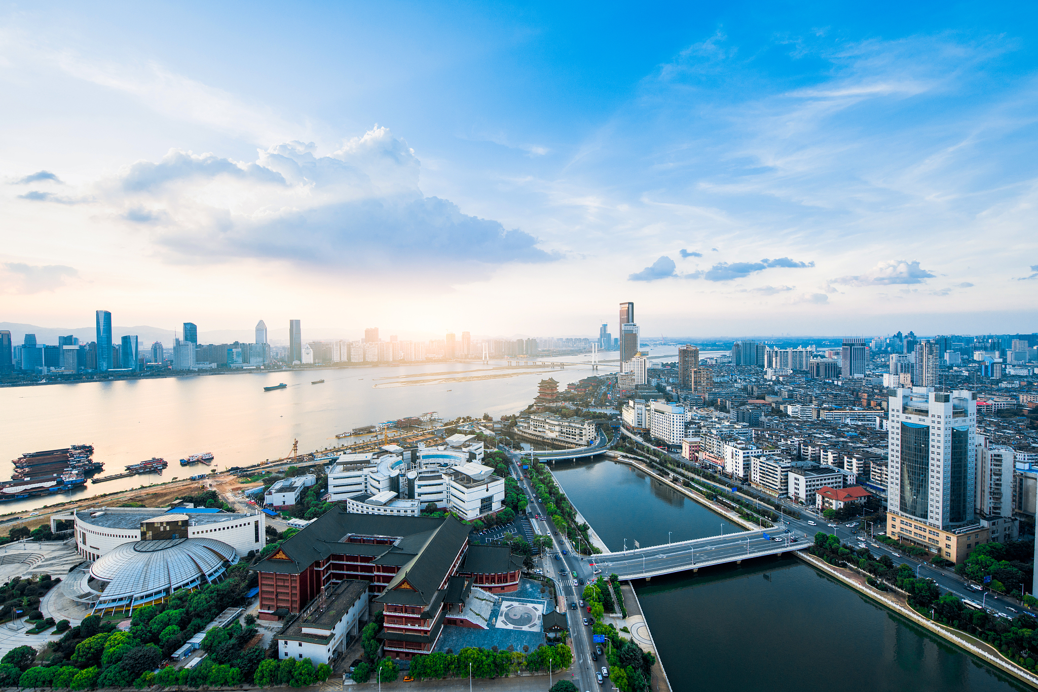 shenzhen bay buildings and skyline