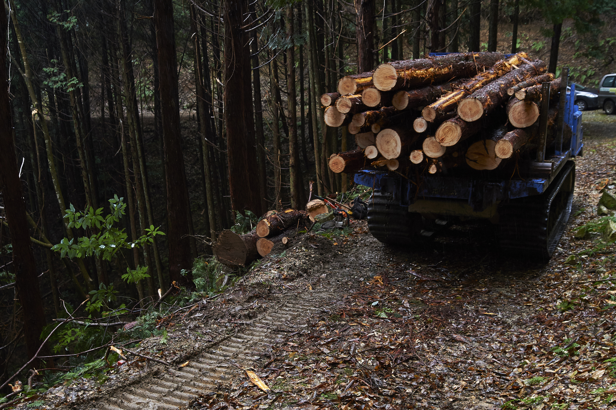 山西林业职业技术学院林业技术专业怎么样