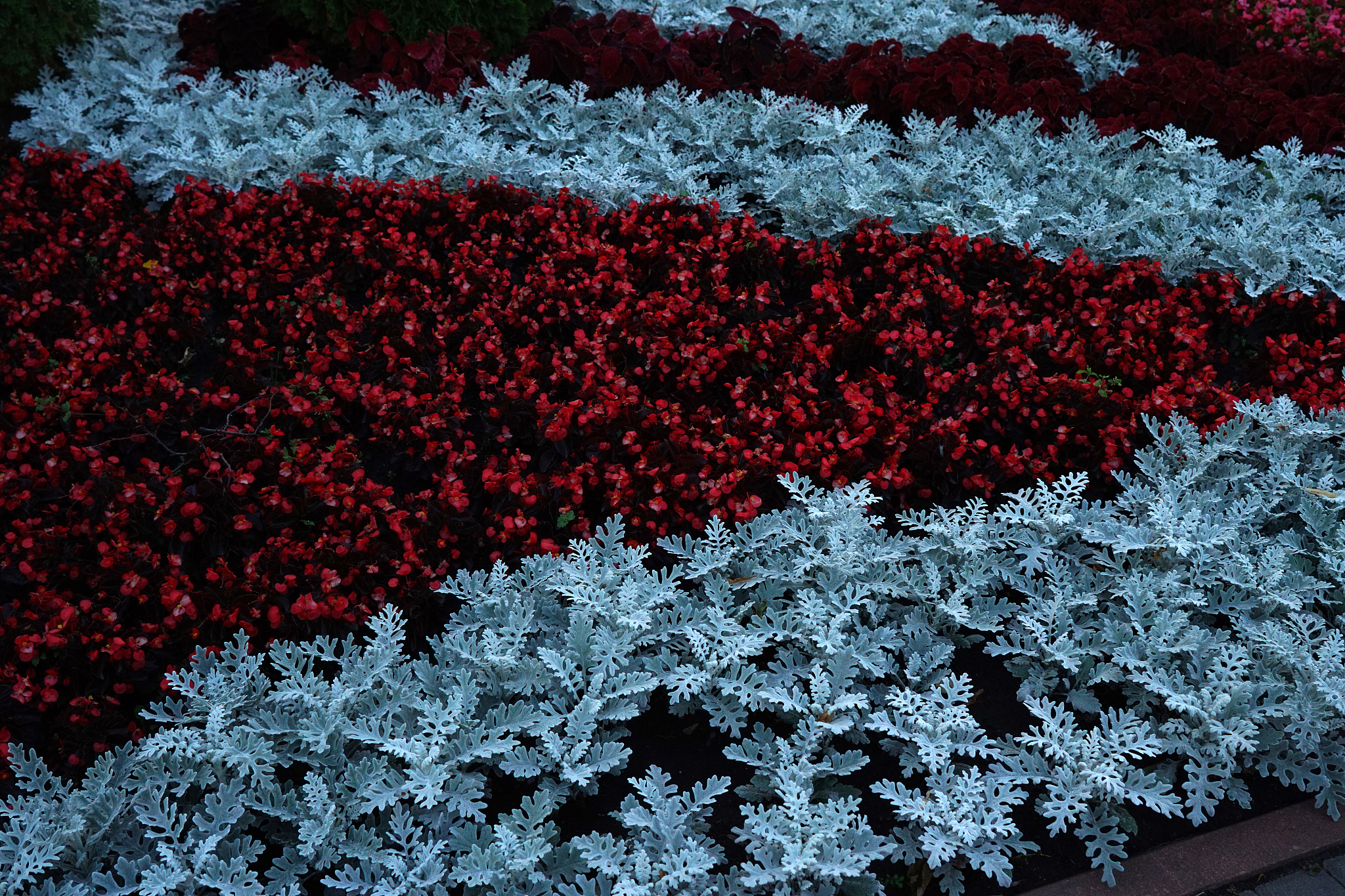 2023年宜昌城市建设学校招生简章