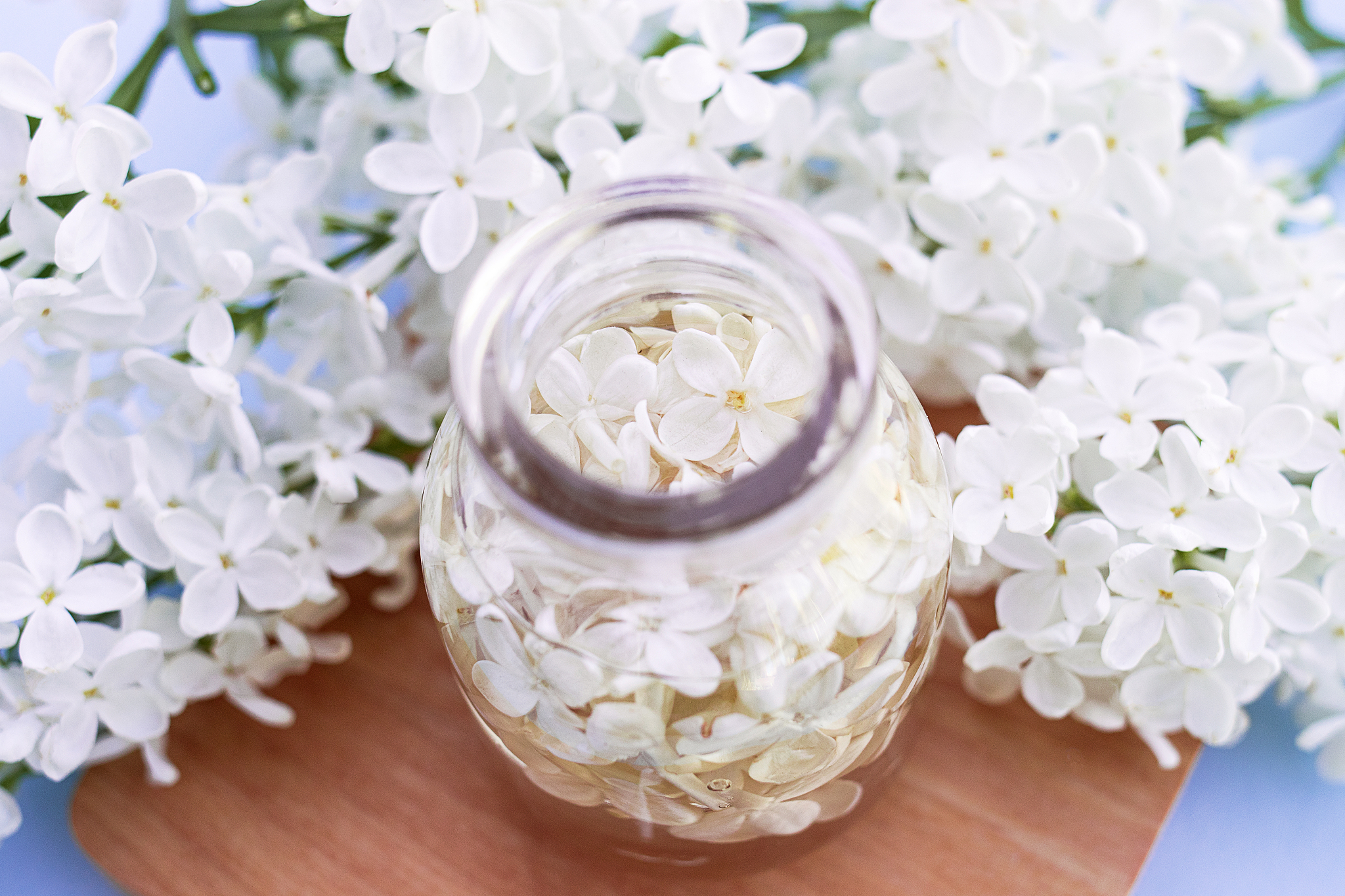 眉山药科职业学院重点专业