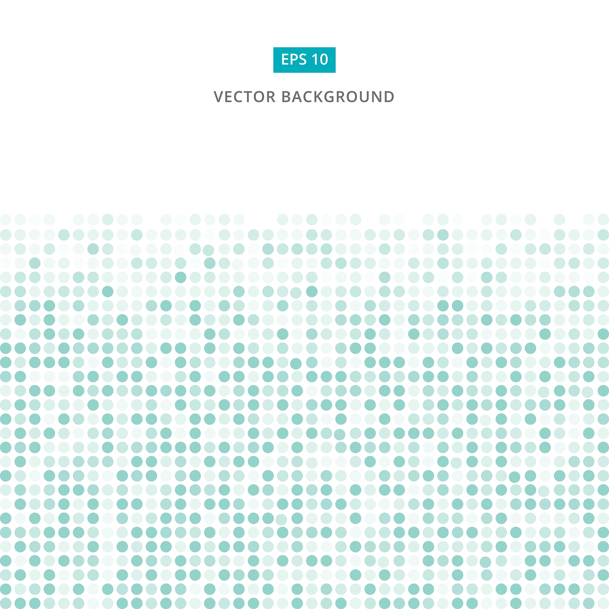 浙江安防职业学院酒店管理与数字化运营专业就业前景 - 就业机会与发展趋势