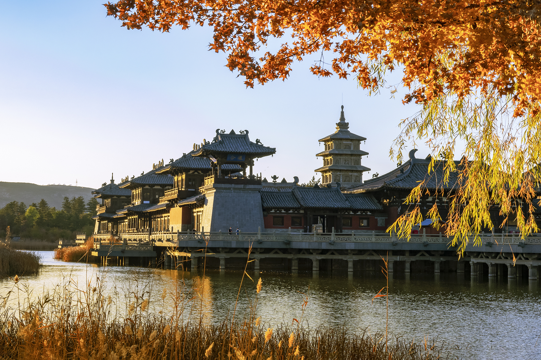 衡水有可以学习摄影的地方吗？