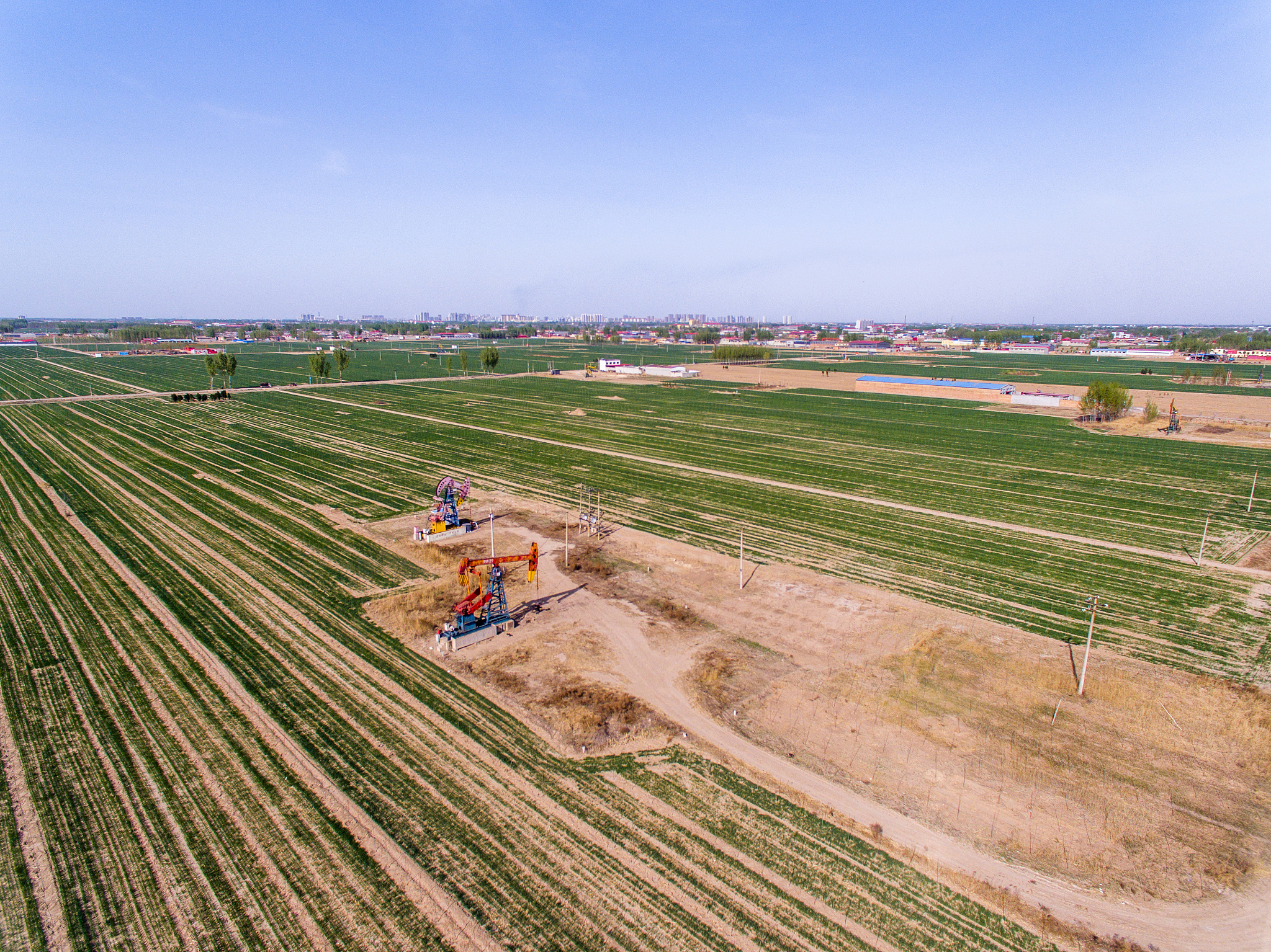 河北省农业经济发展建议：加强农民素质提升，促进农业现代化