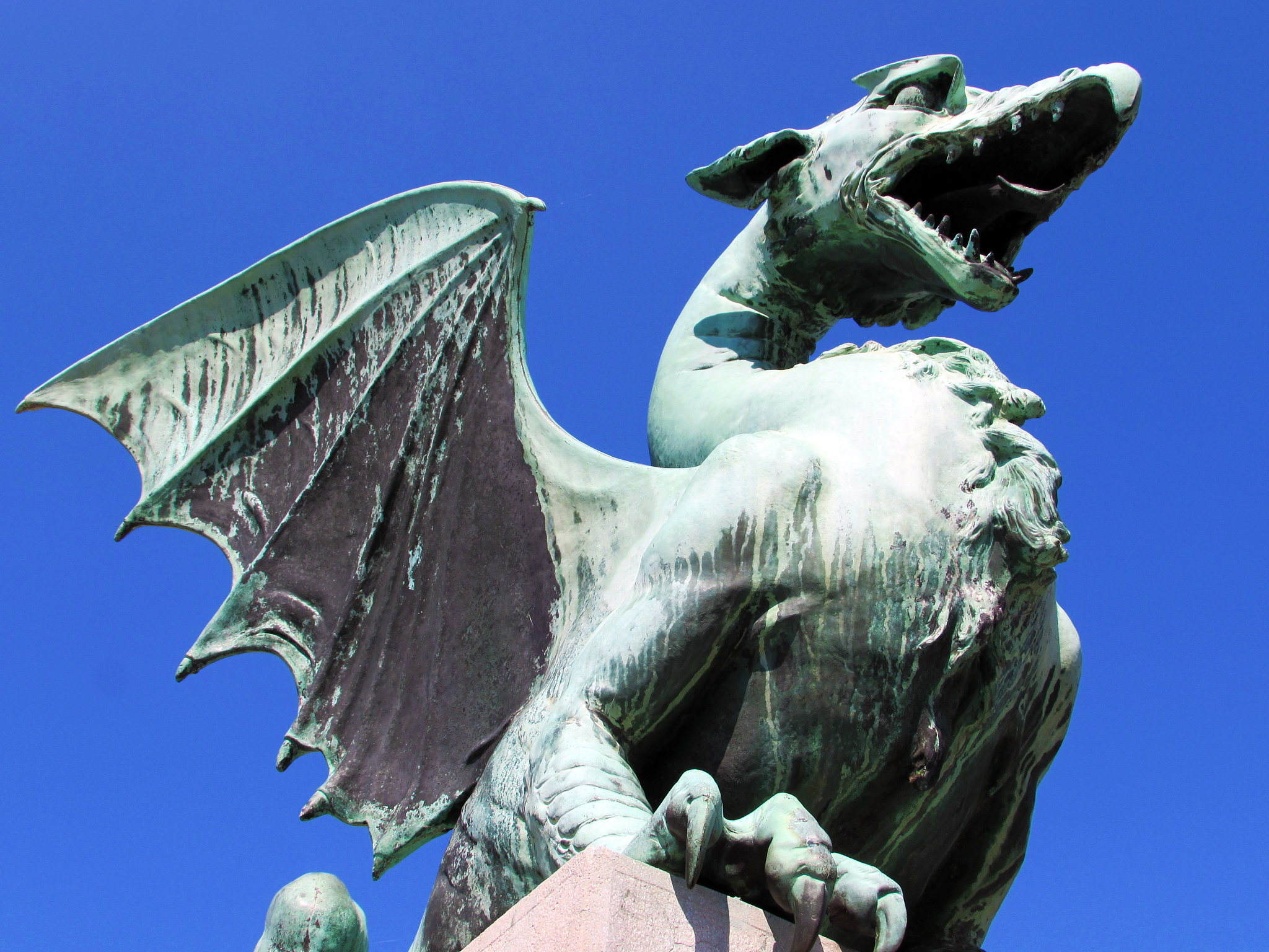 dragon