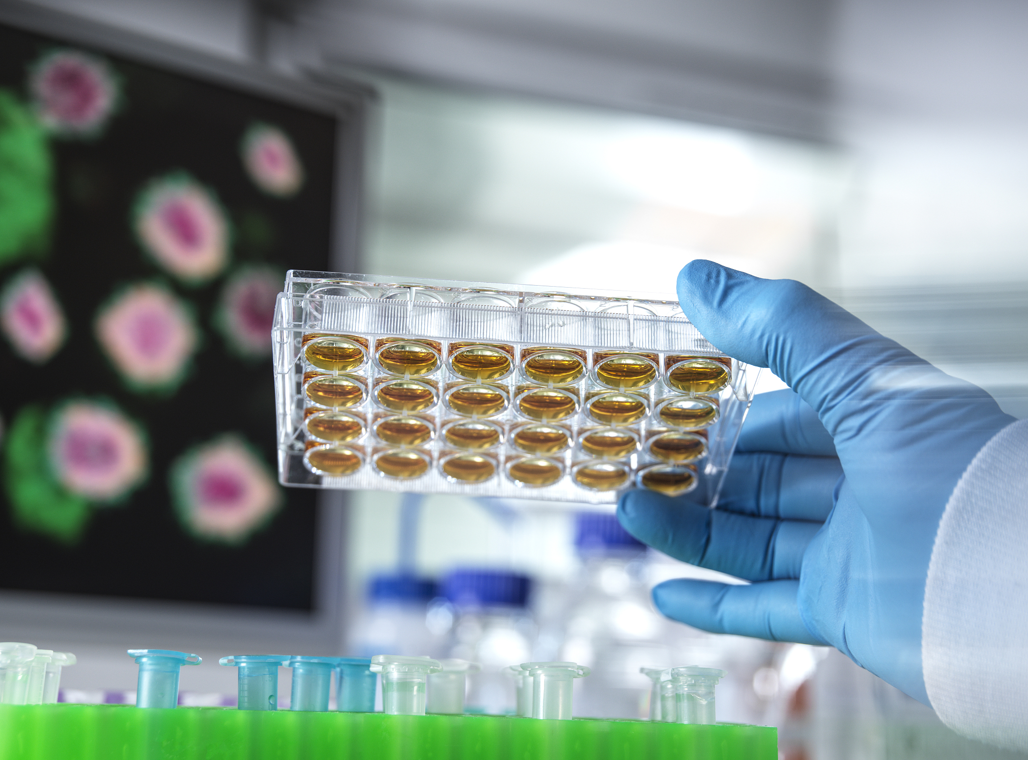 中药创新药种类：注射剂、口服制剂、外用制剂等