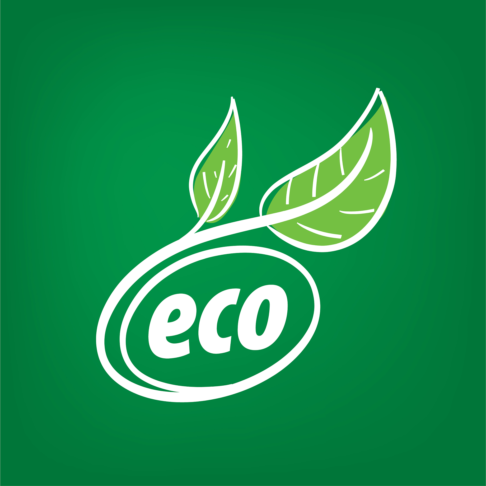 logo eco