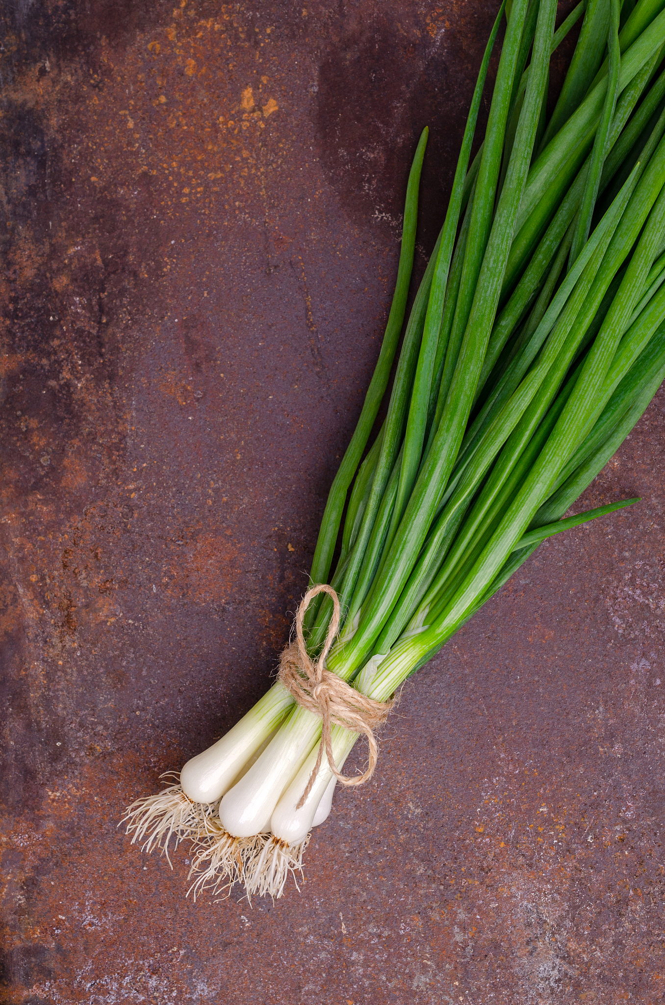 green onion leaves