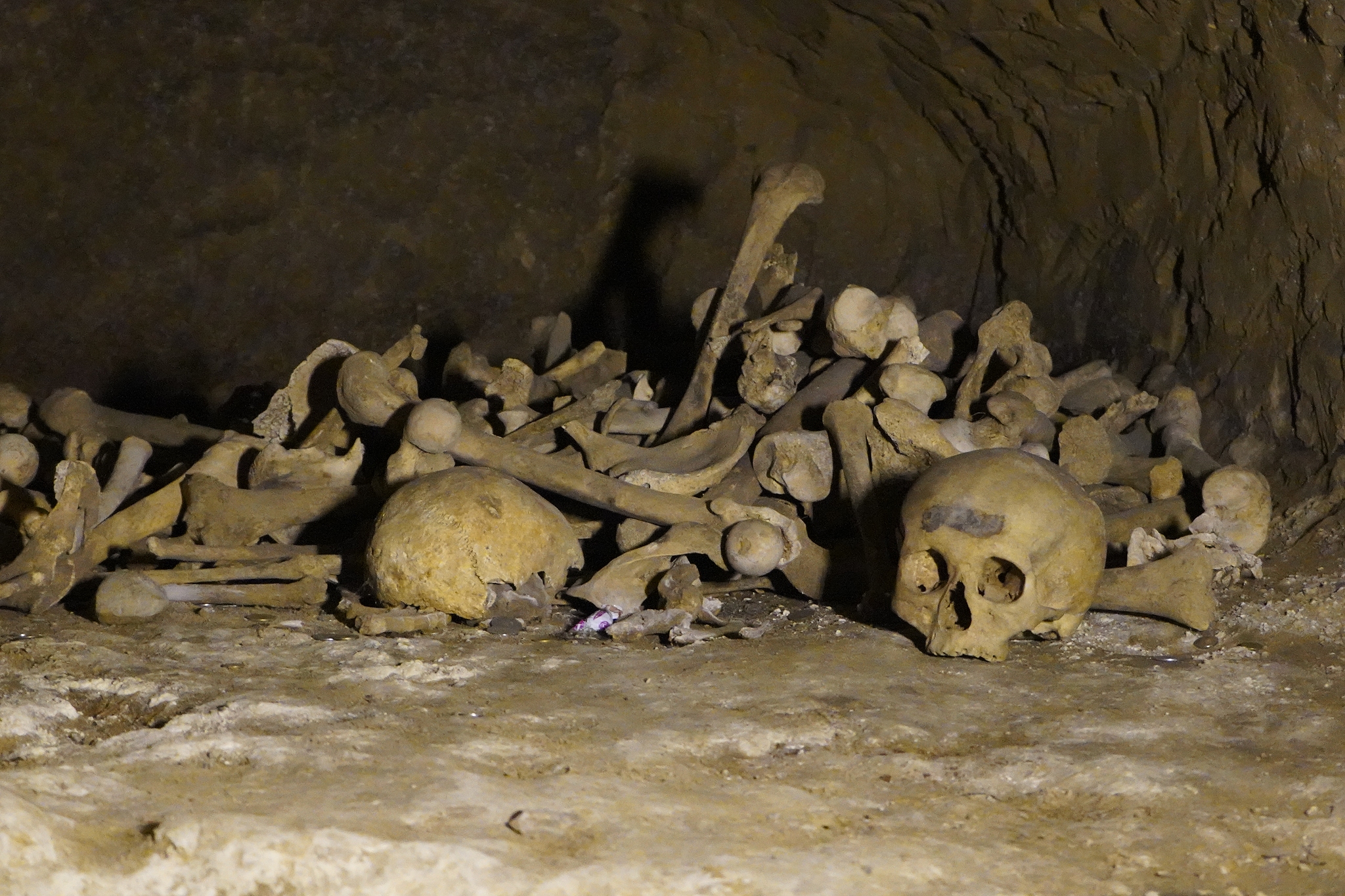 墓王之谜：盗墓者的冒险