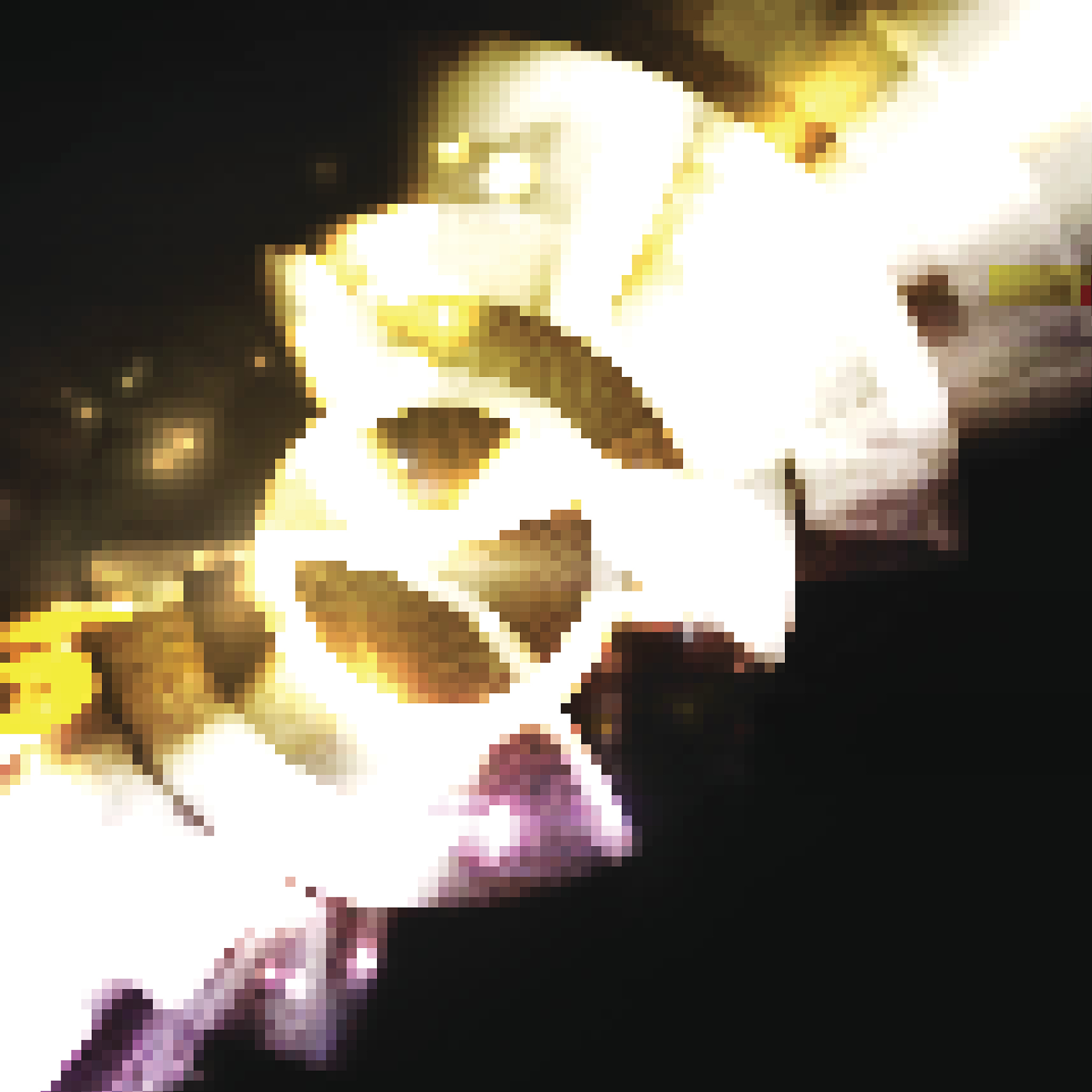 学生：当代社会的活力引擎，肩负着未来的希望