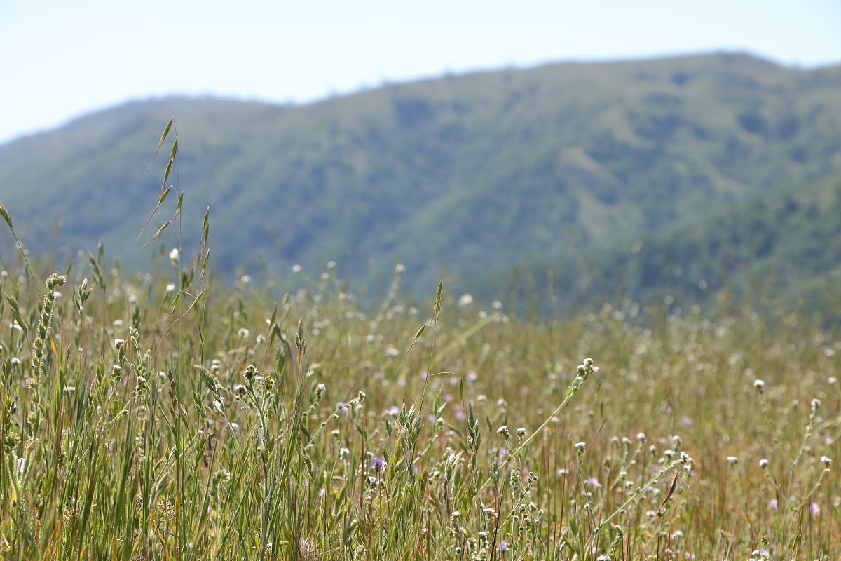 暗黑破坏神4 无法找到有效许可证？解决方法及常见原因