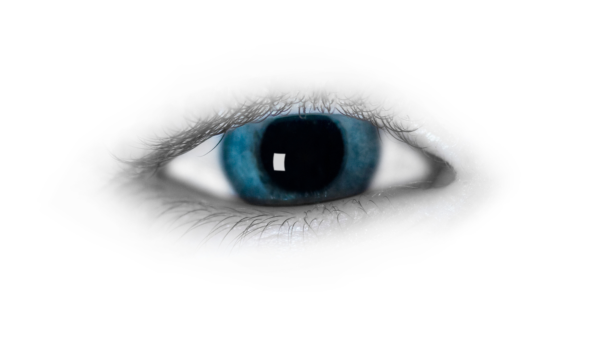 blue eye with white background