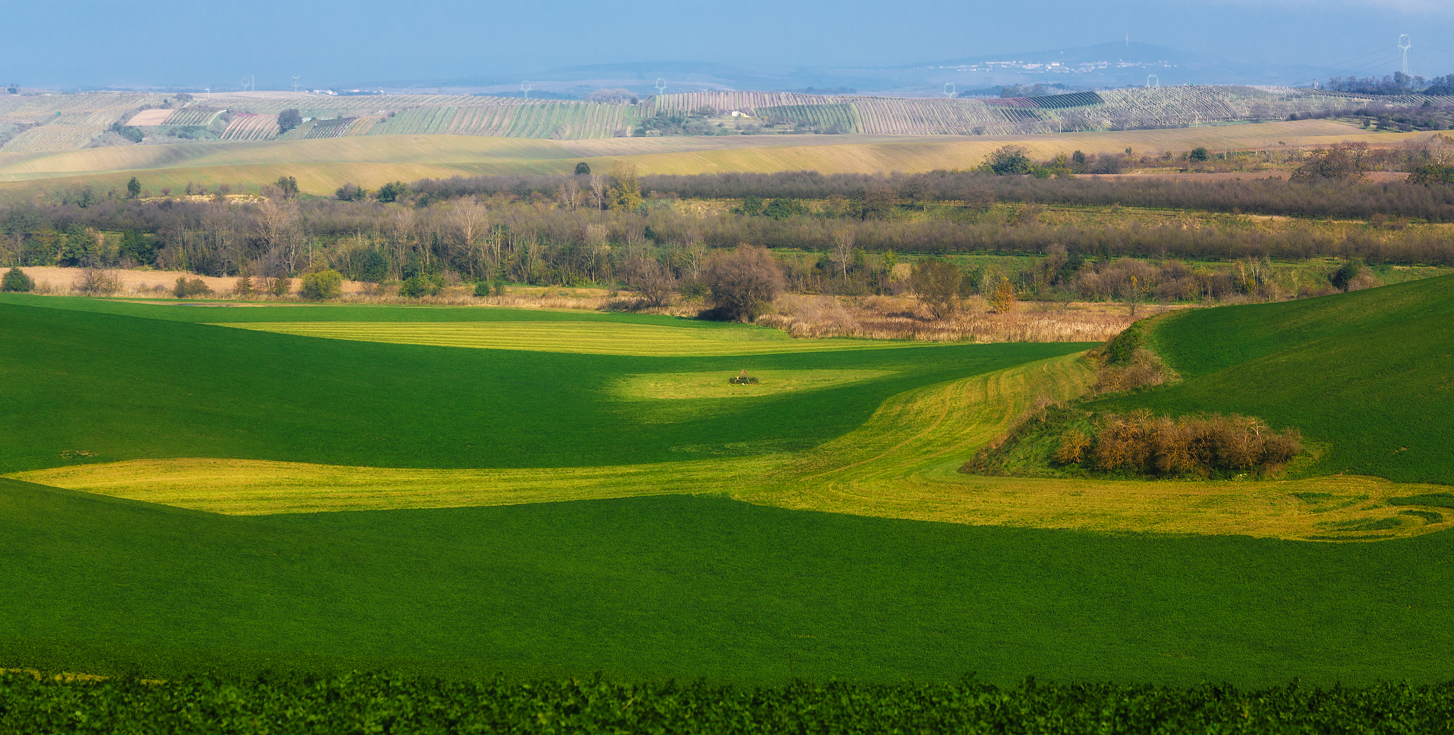 fields on moravian hills