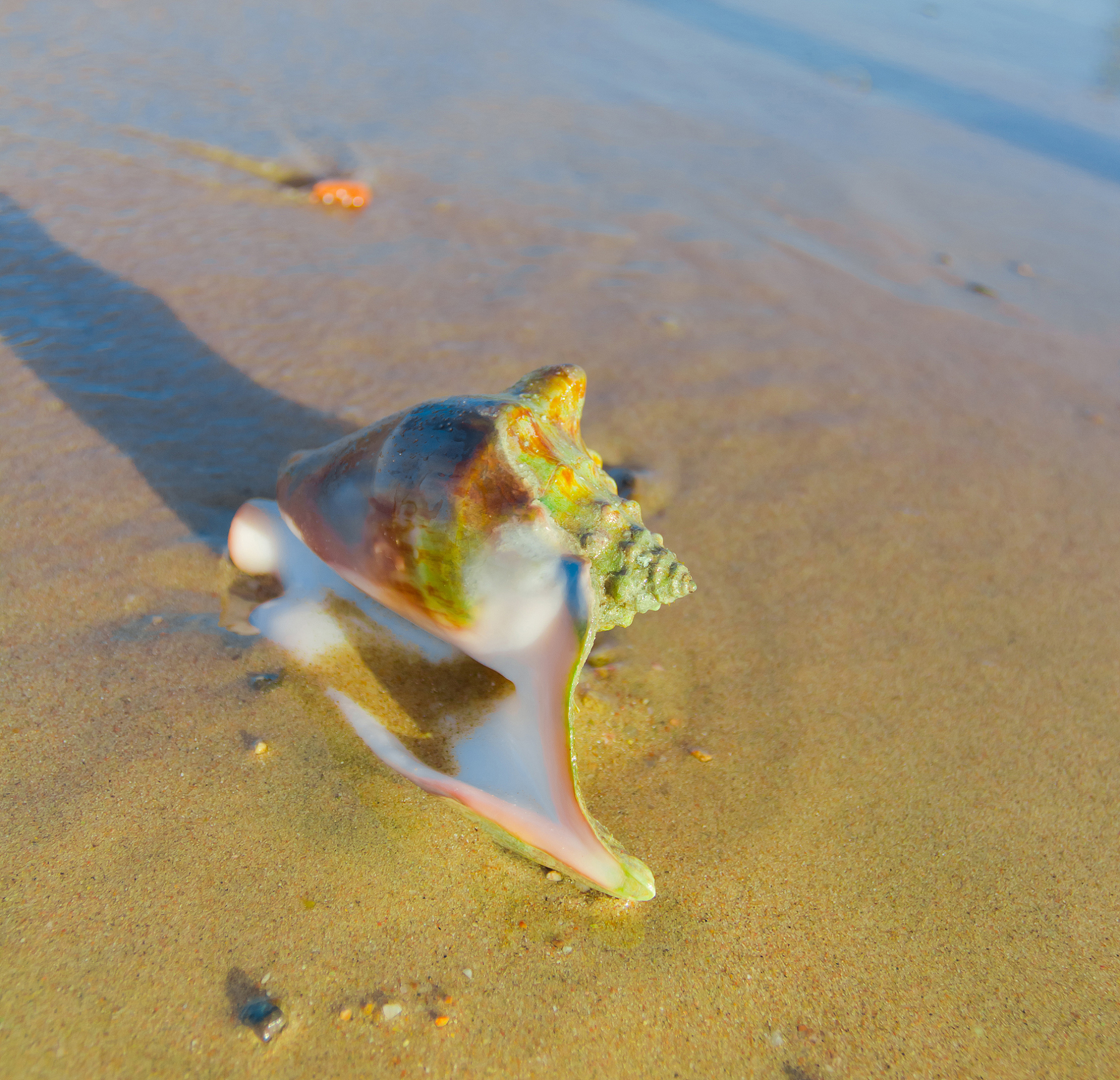 写一遍50字的小说