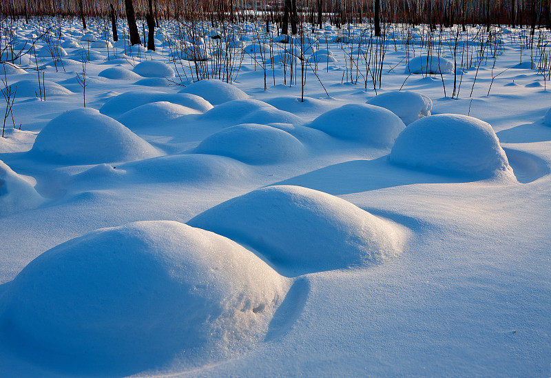 黑龙江省伊春卫生学校怎么样？好不好就业呢？