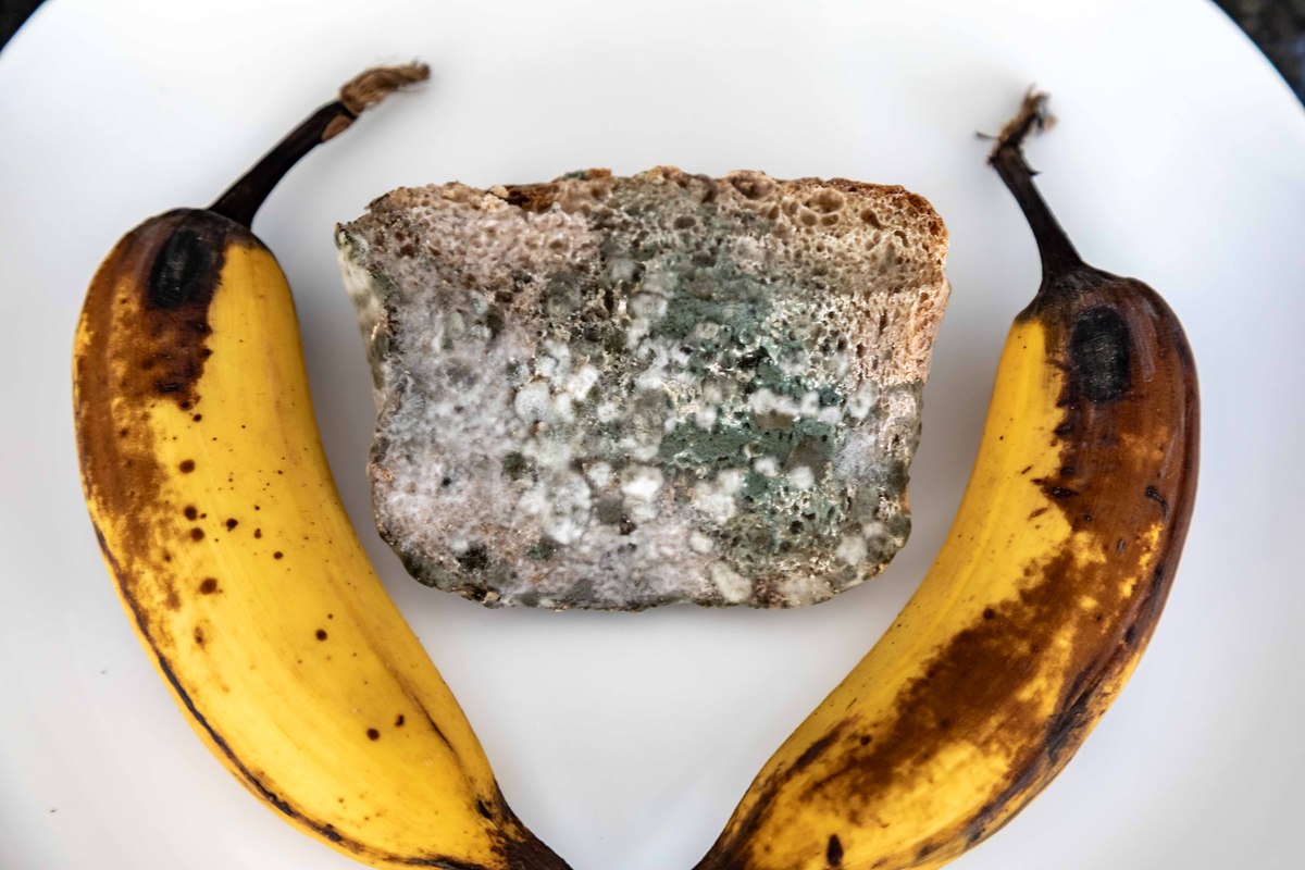 上霉了的食物碗还能要吗