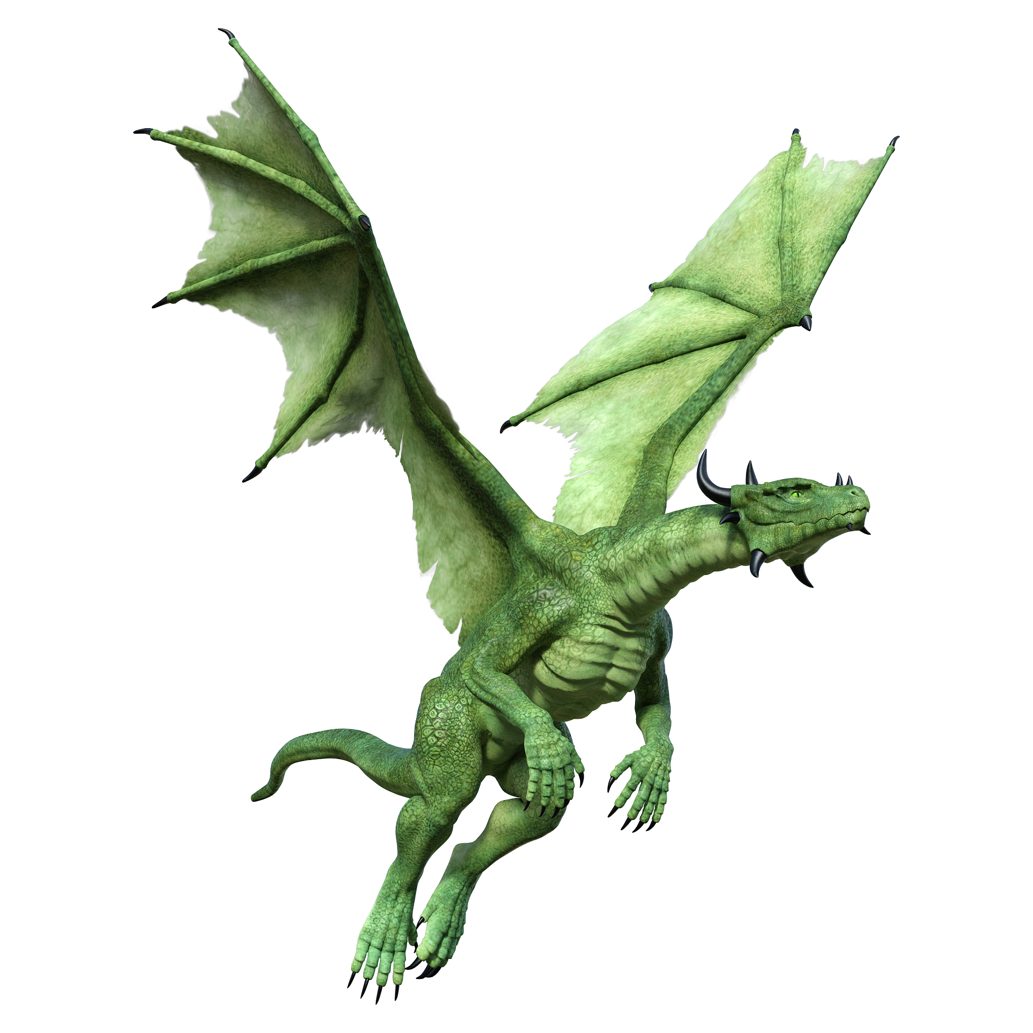 3d illustration fantasy dragon on white