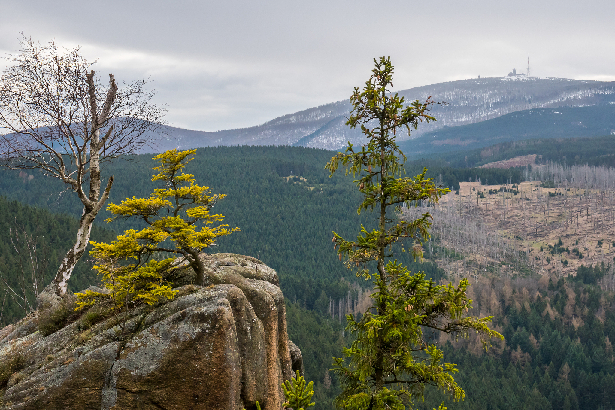 view of the brocken in the harz mountains'n