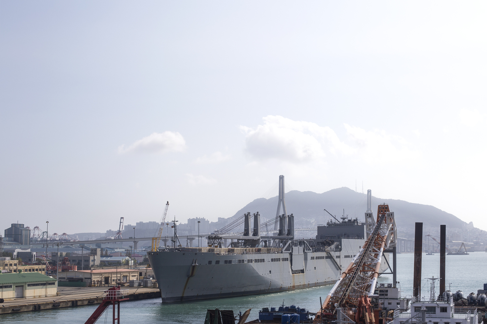 transportation of cargo freight ship and cargo container for log