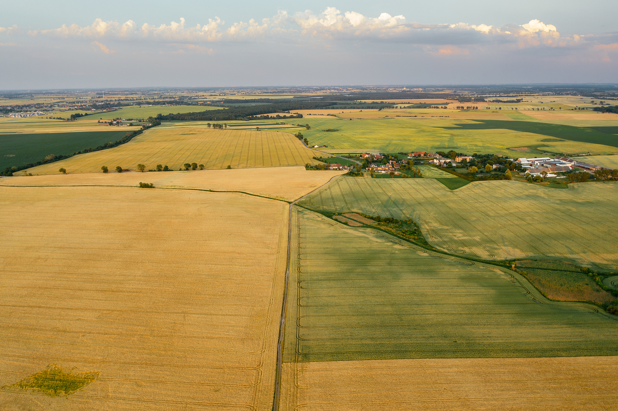 agricultural fields of europe.