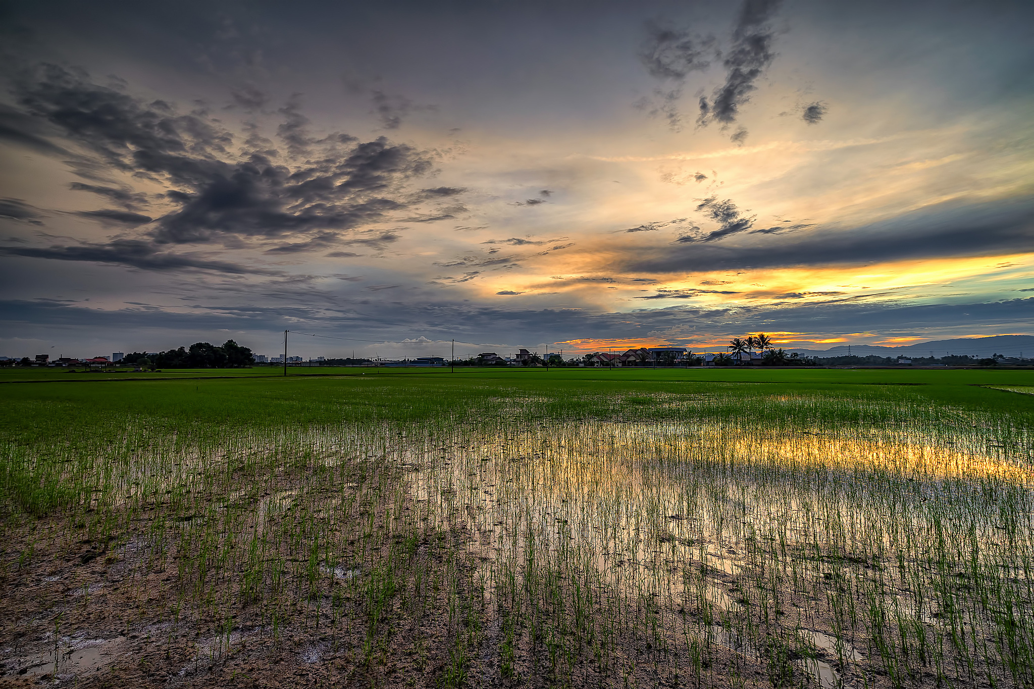 200字的中国山区实地调查报告
