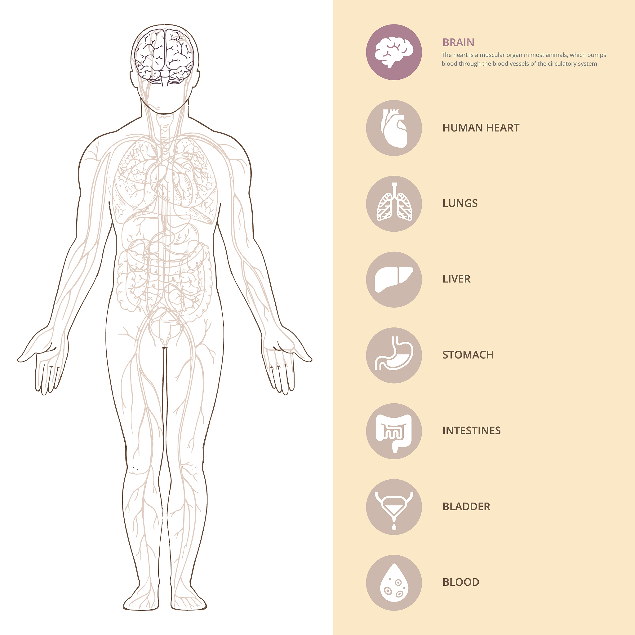 1升血液中血红蛋白含量是多少？