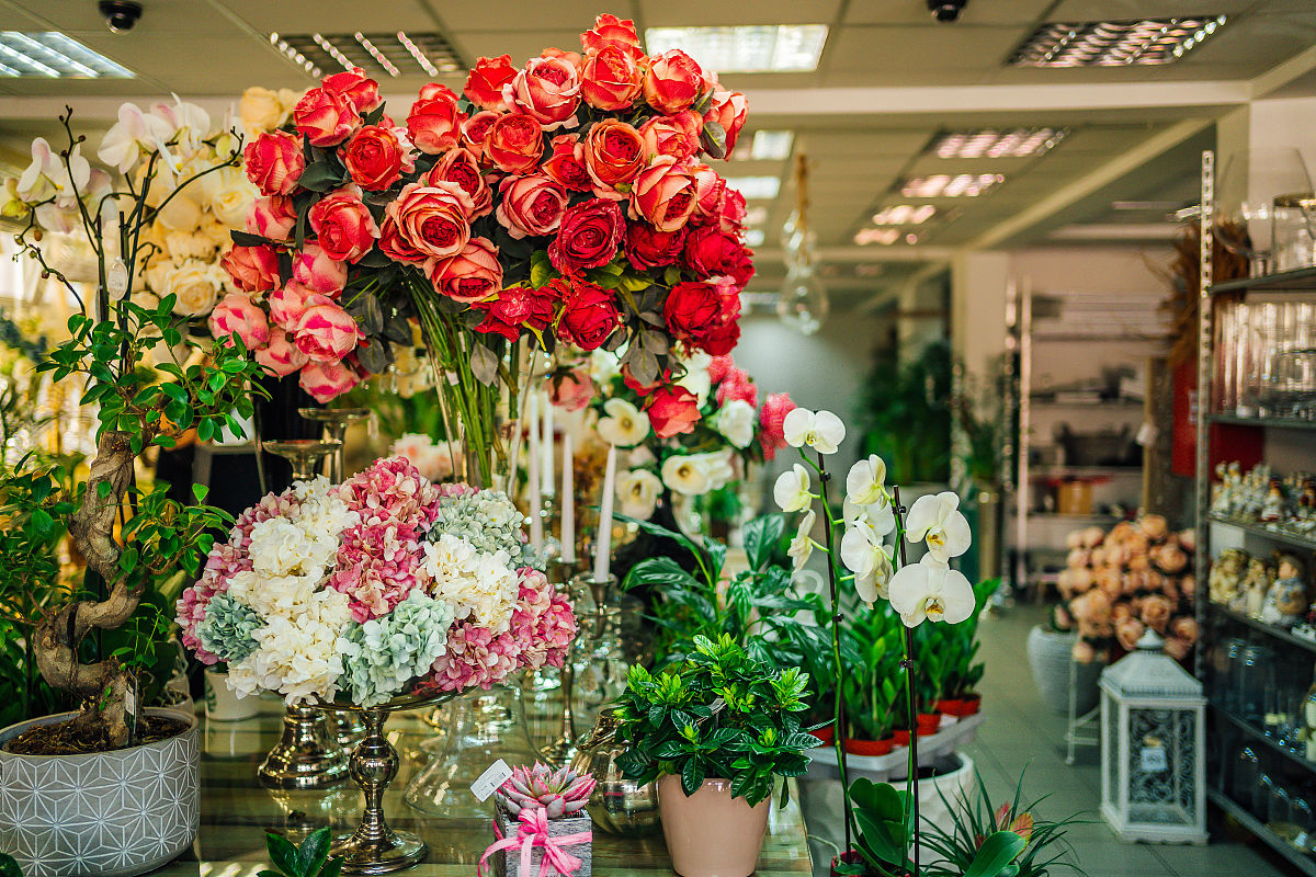 花店创业的背景